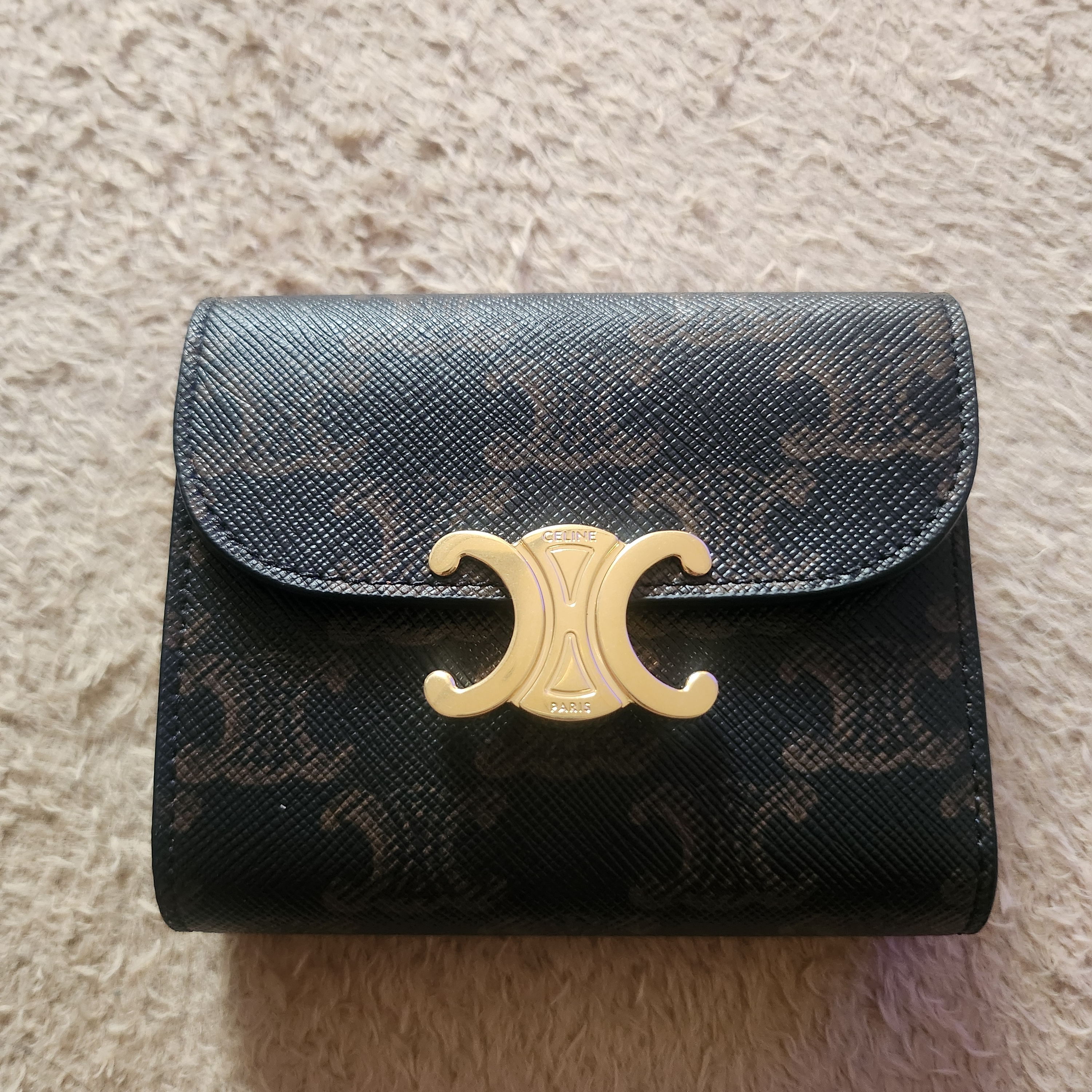 Celine Small Wallet Triomphe in Triomphe Canvas Tan 착용 스타일