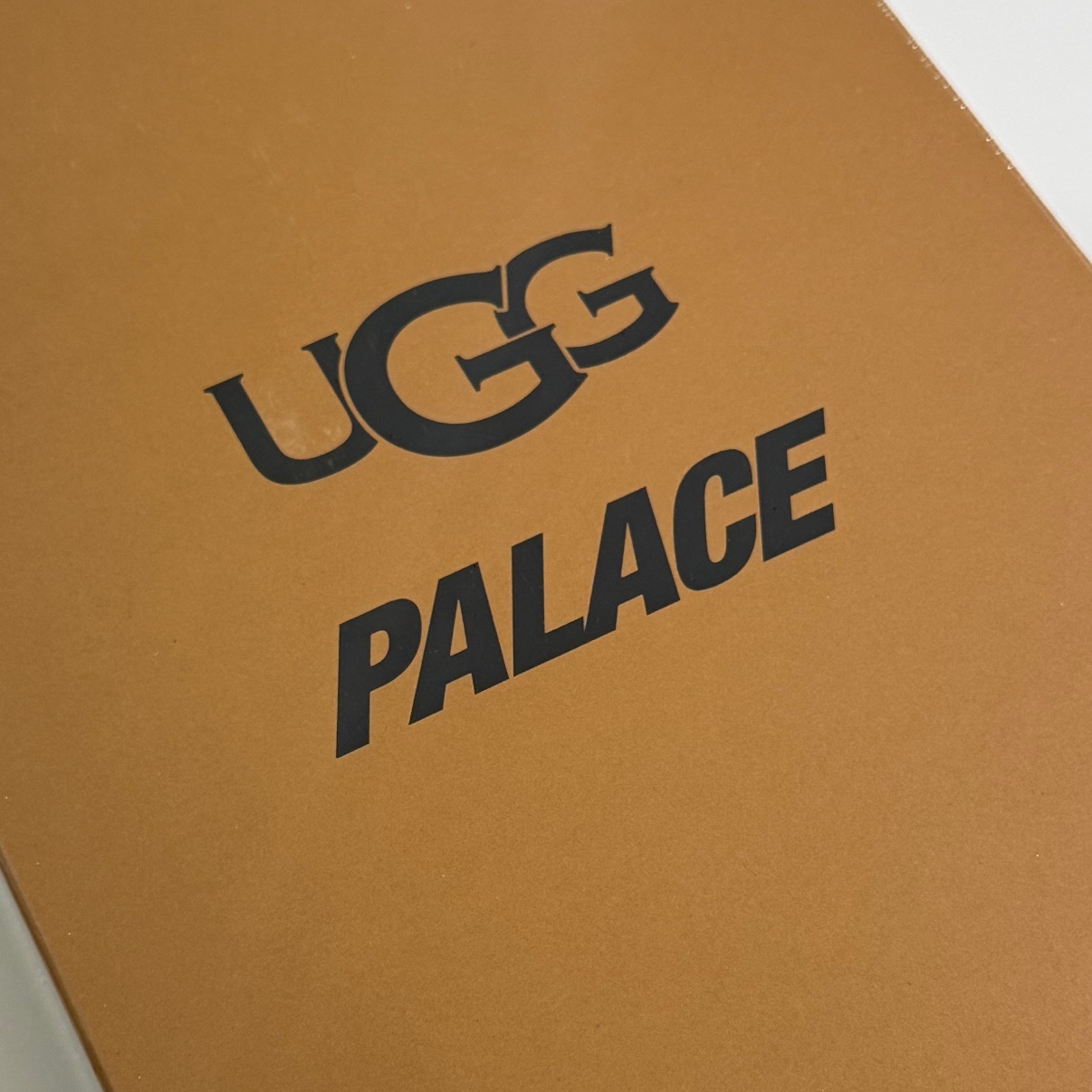 UGG x Palace x Looney Tunes Tasman Slipper Chestnut 착용 스타일 - 3