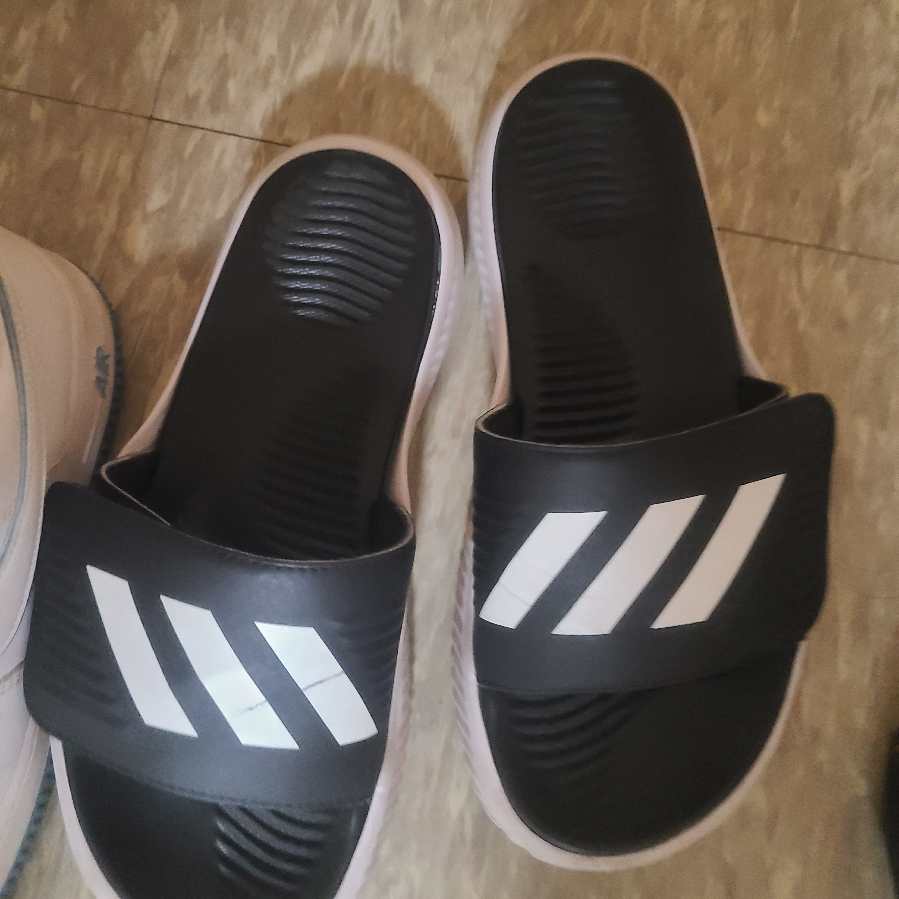 Adidas Alphabounce Slide Cloud White Core Black 착용 스타일