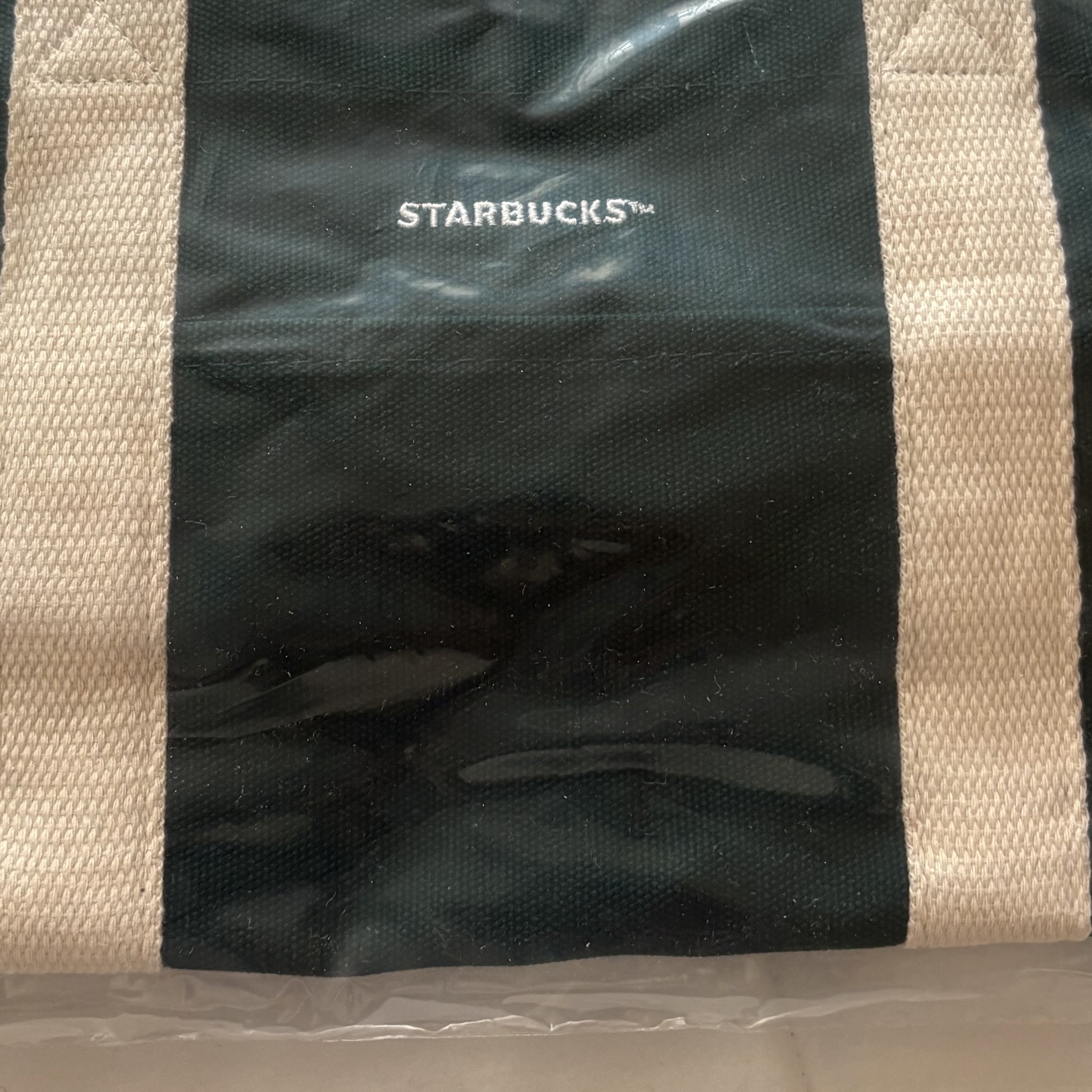 Starbucks House Tote Bag Green 착용 스타일
