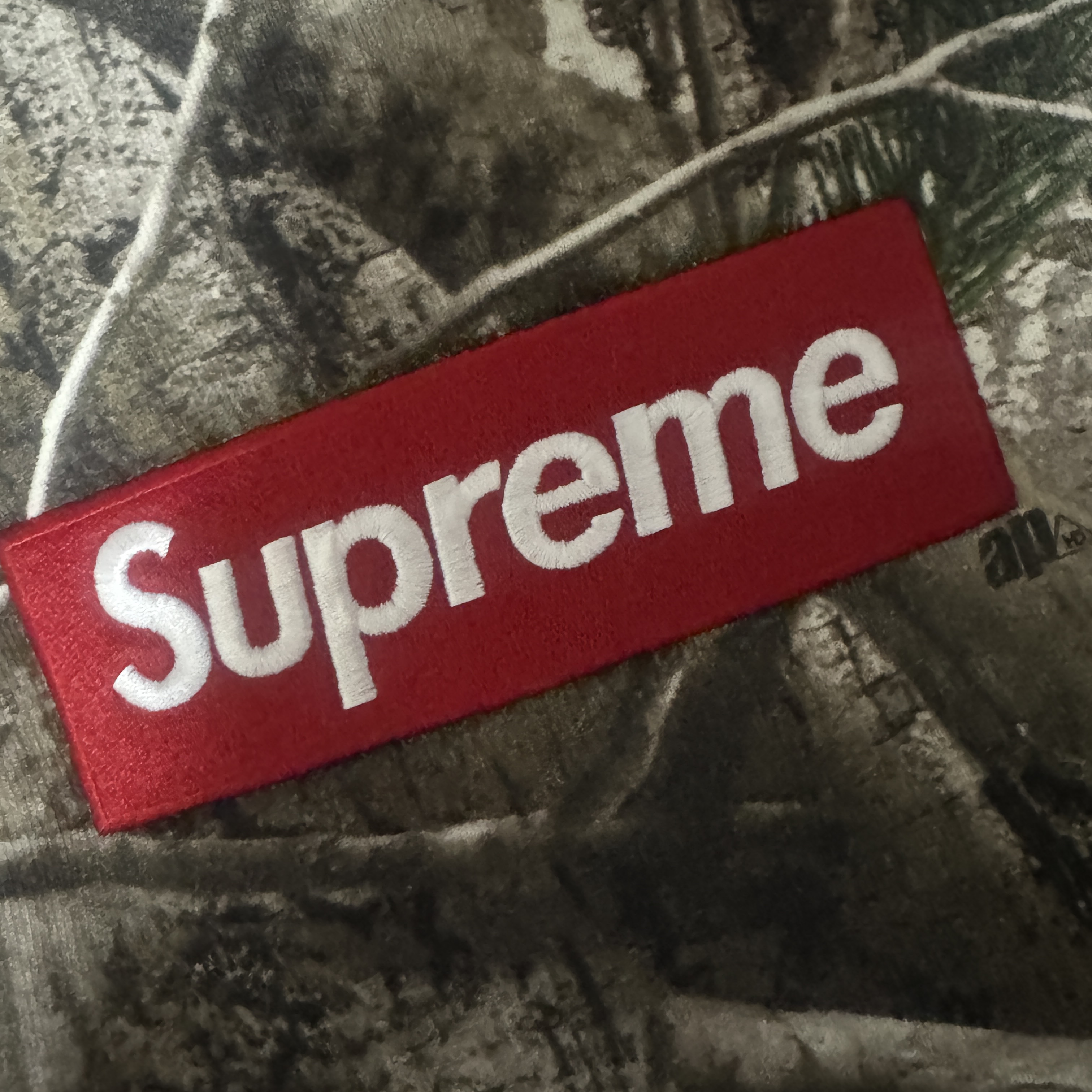 Supreme Box Logo Hooded Sweatshirt Realtree AP Camo - 25FW 착용 스타일