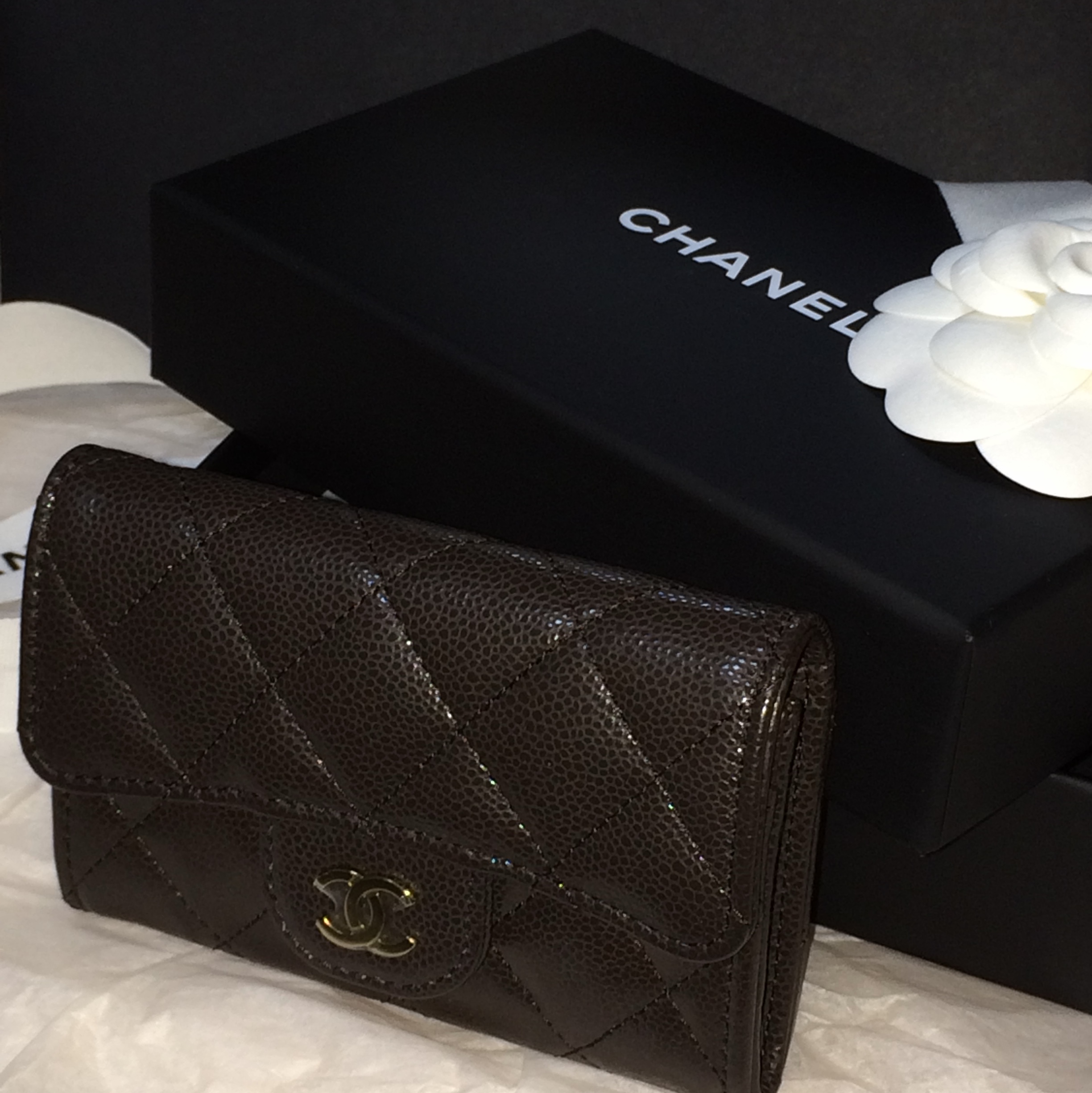Chanel Classic Card Holder Grained Shiny Calfskin & Gold Dark Brown 착용 스타일