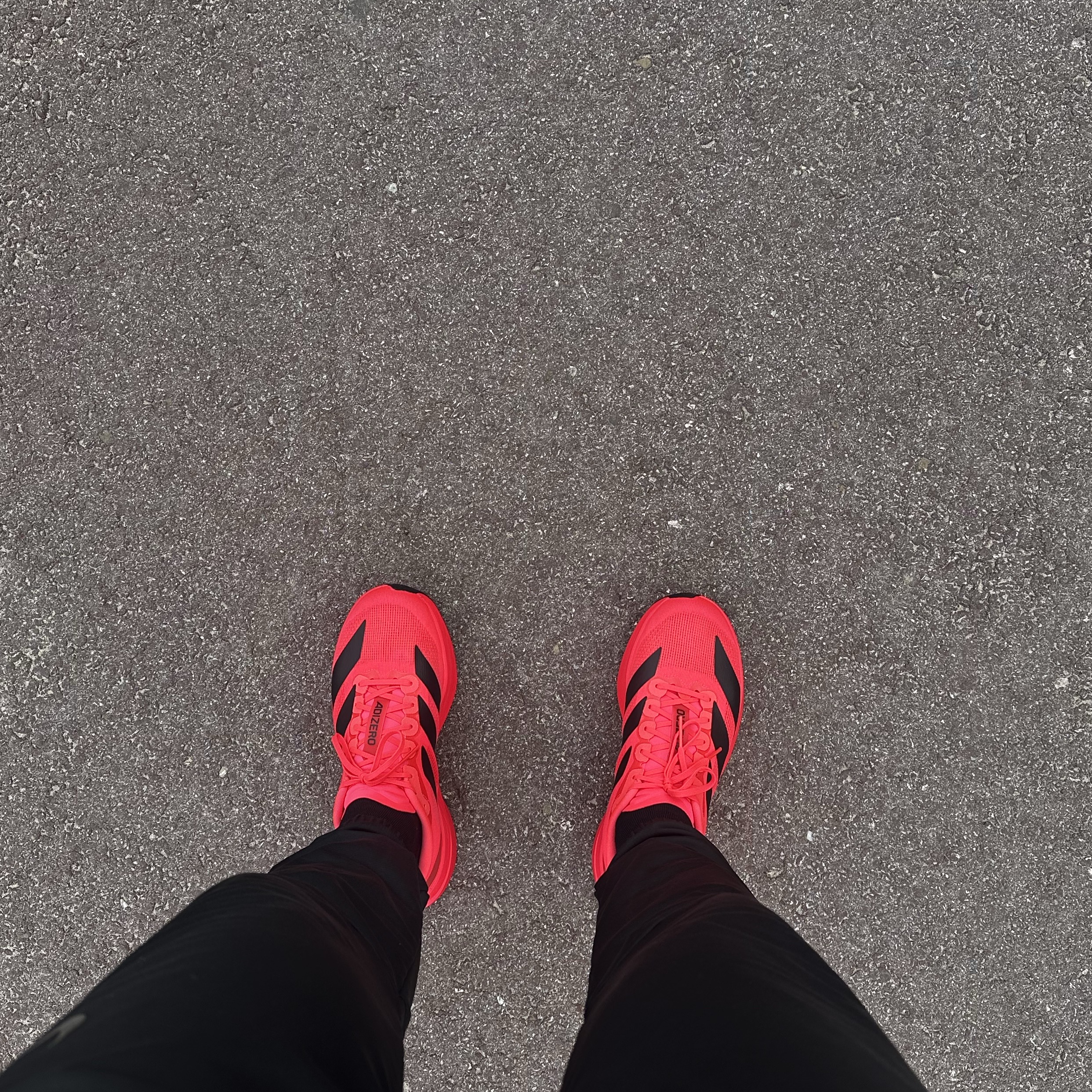 Adidas Adizero Evo SL Lucid Red Core Black 착용 스타일