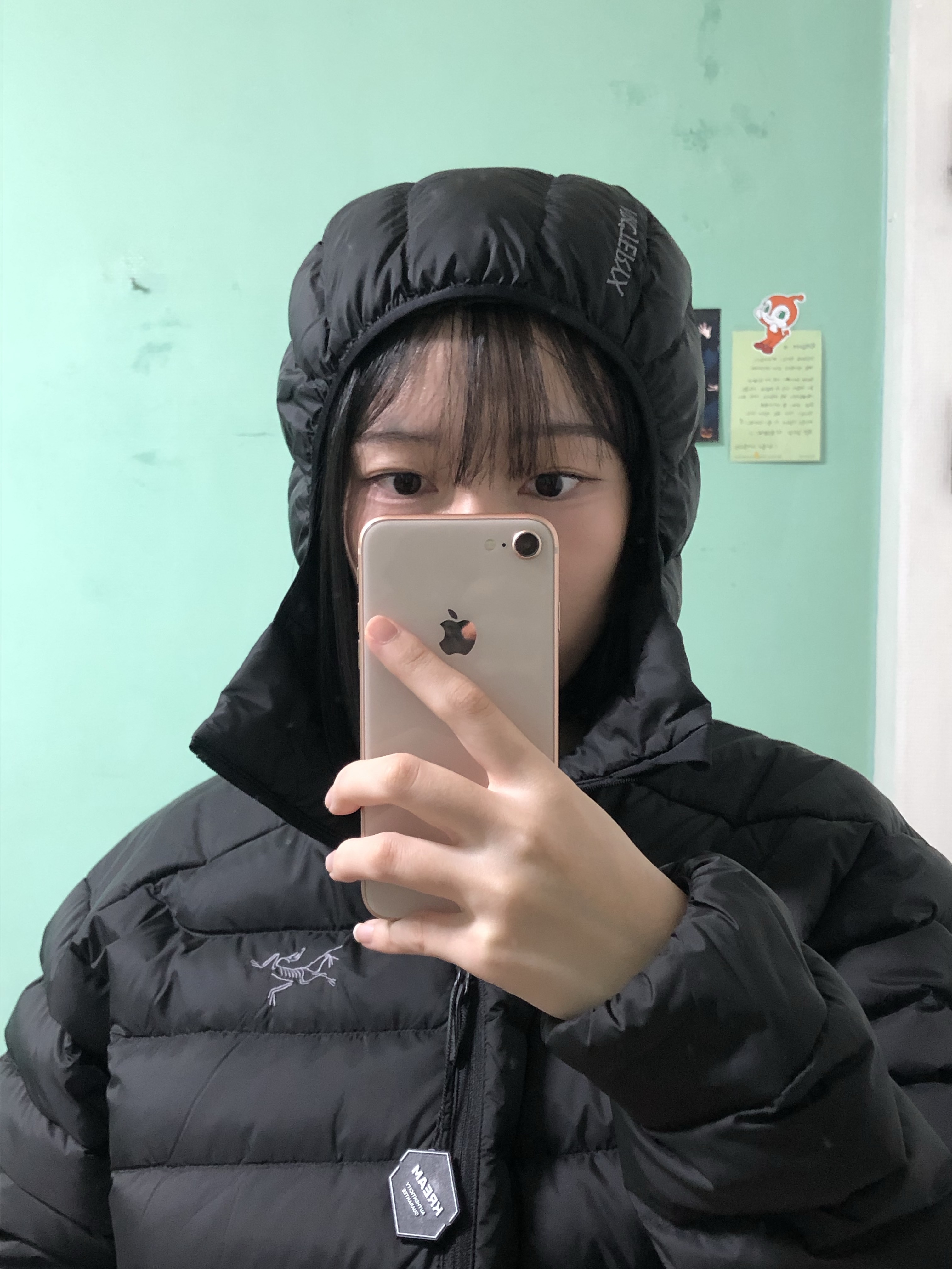 Arc'teryx Cerium Hoody Black 착용 스타일 - 2
