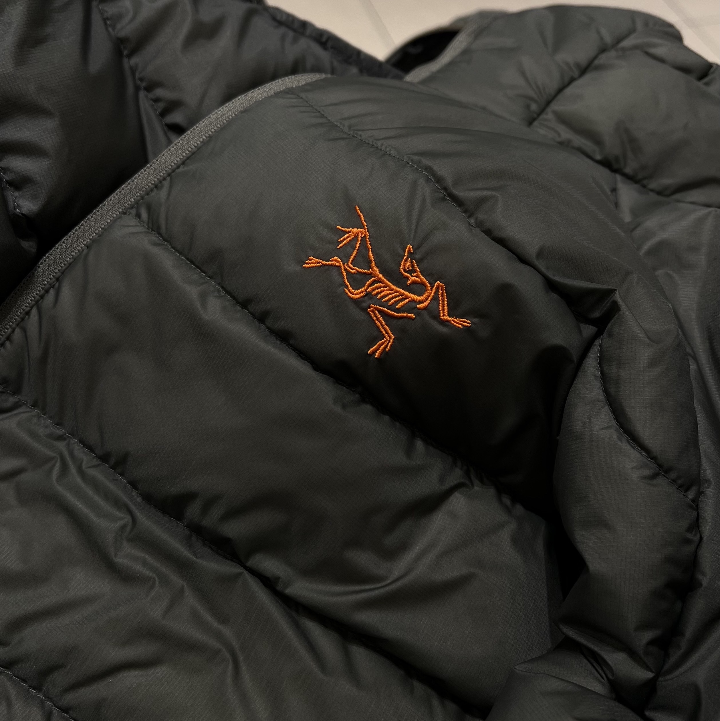 Arc'teryx Cerium Hoody Forage Verve, Arc'teryx Cerium Hoody Black 착용 스타일 - 1