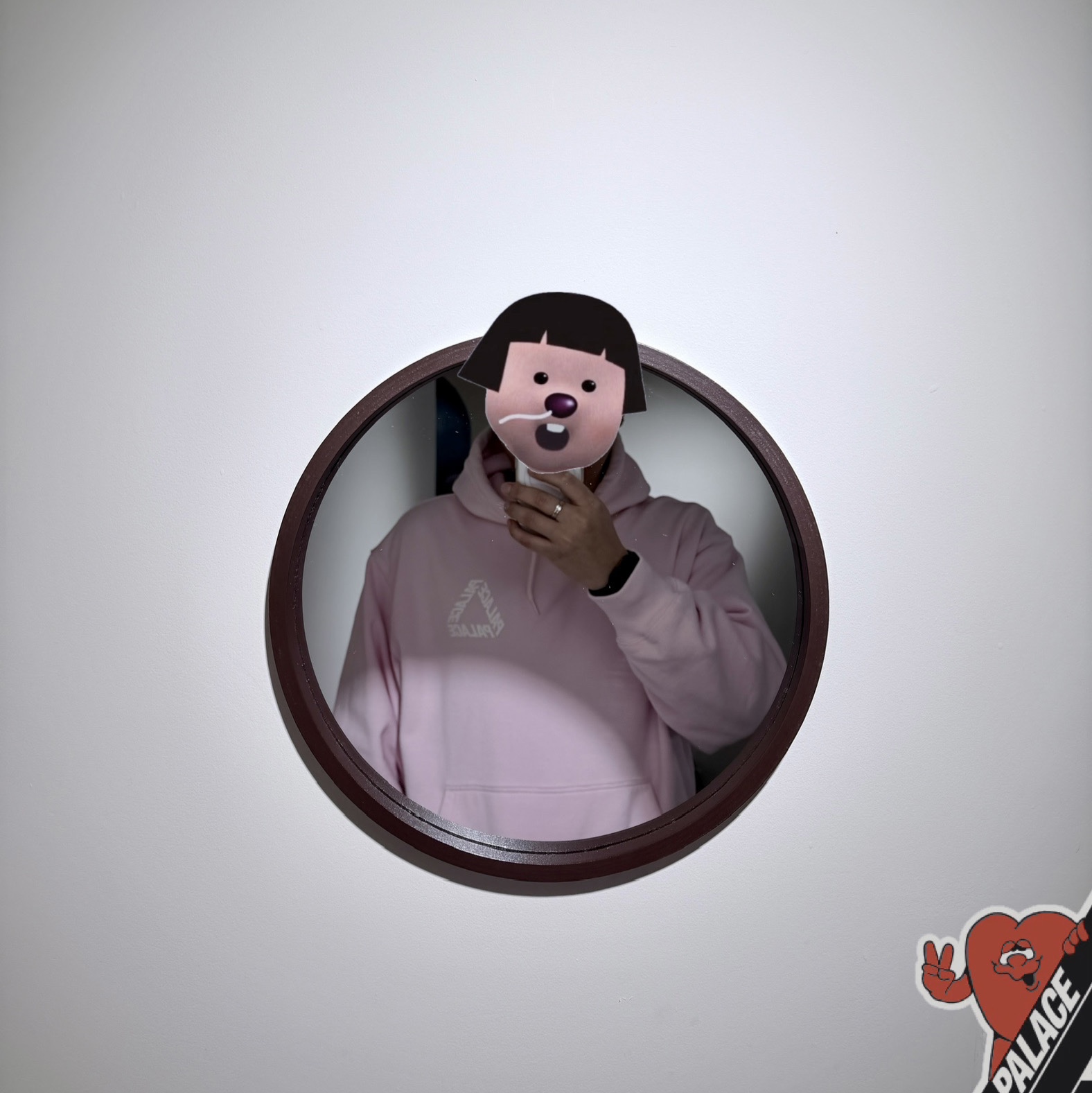 Palace Rose P3 Hood Lush Flush - 25SS 착용 스타일