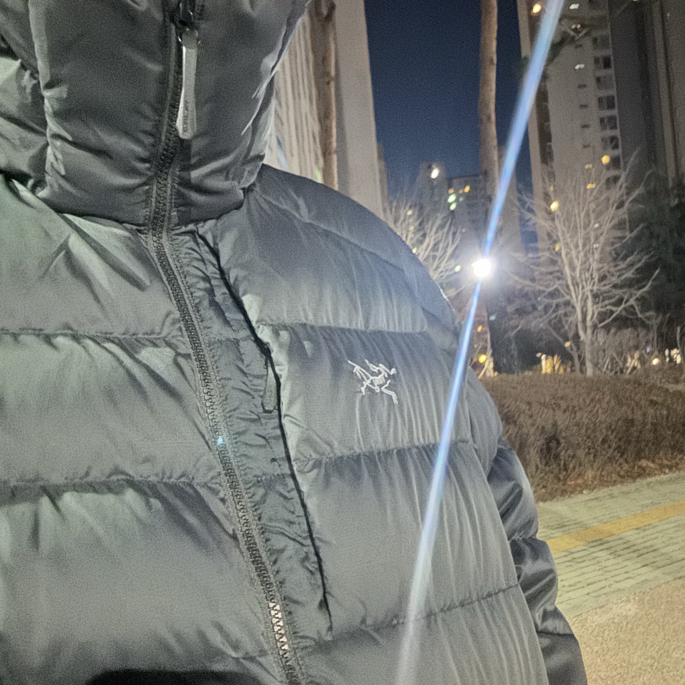 Arc'teryx Thorium Hoody Black 착용 스타일