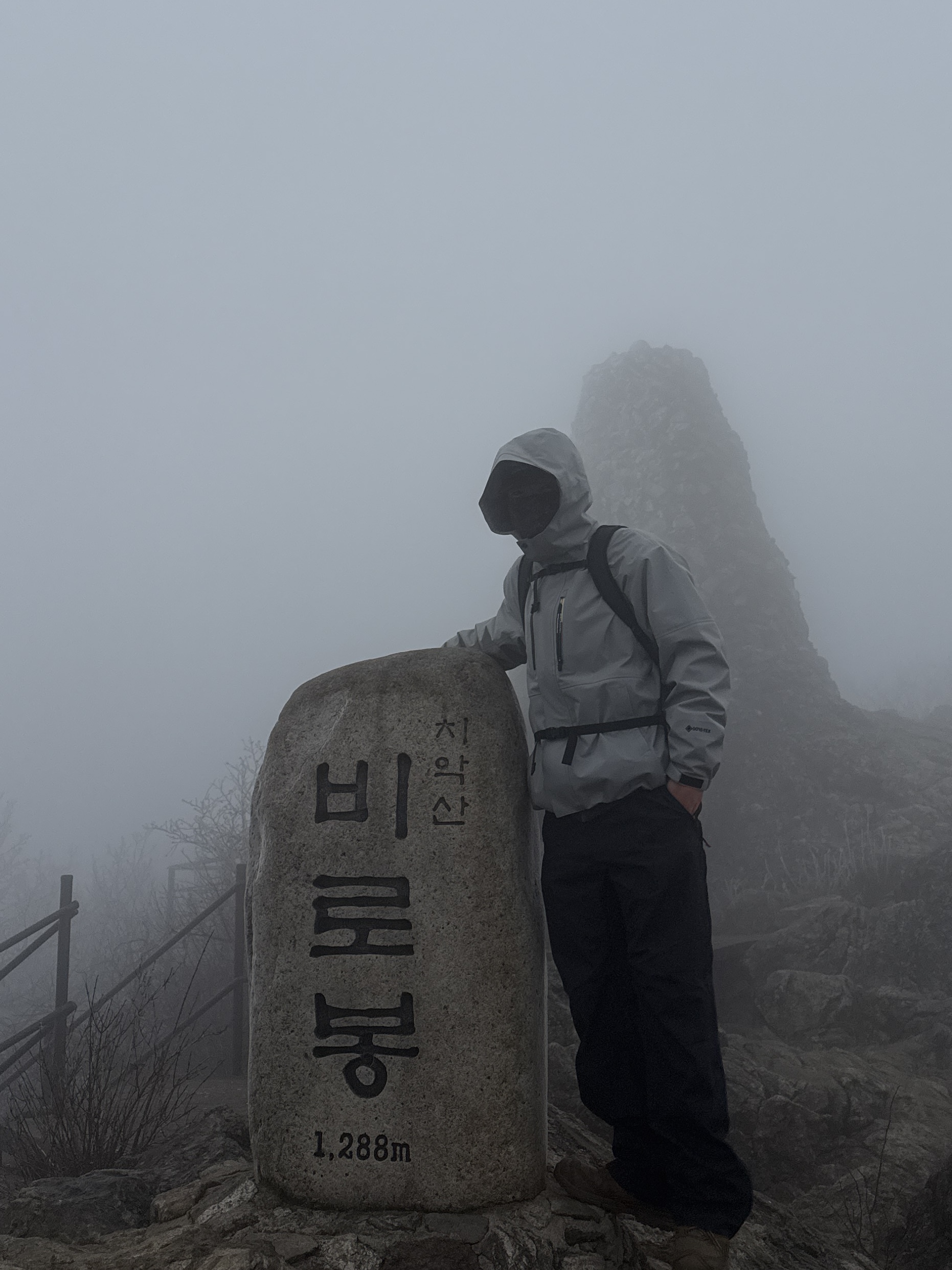 Salomon Race Flag GTX 3L Jacket Light Grey, Arc'teryx Mantis 26 Backpack Black 착용 스타일 - 3