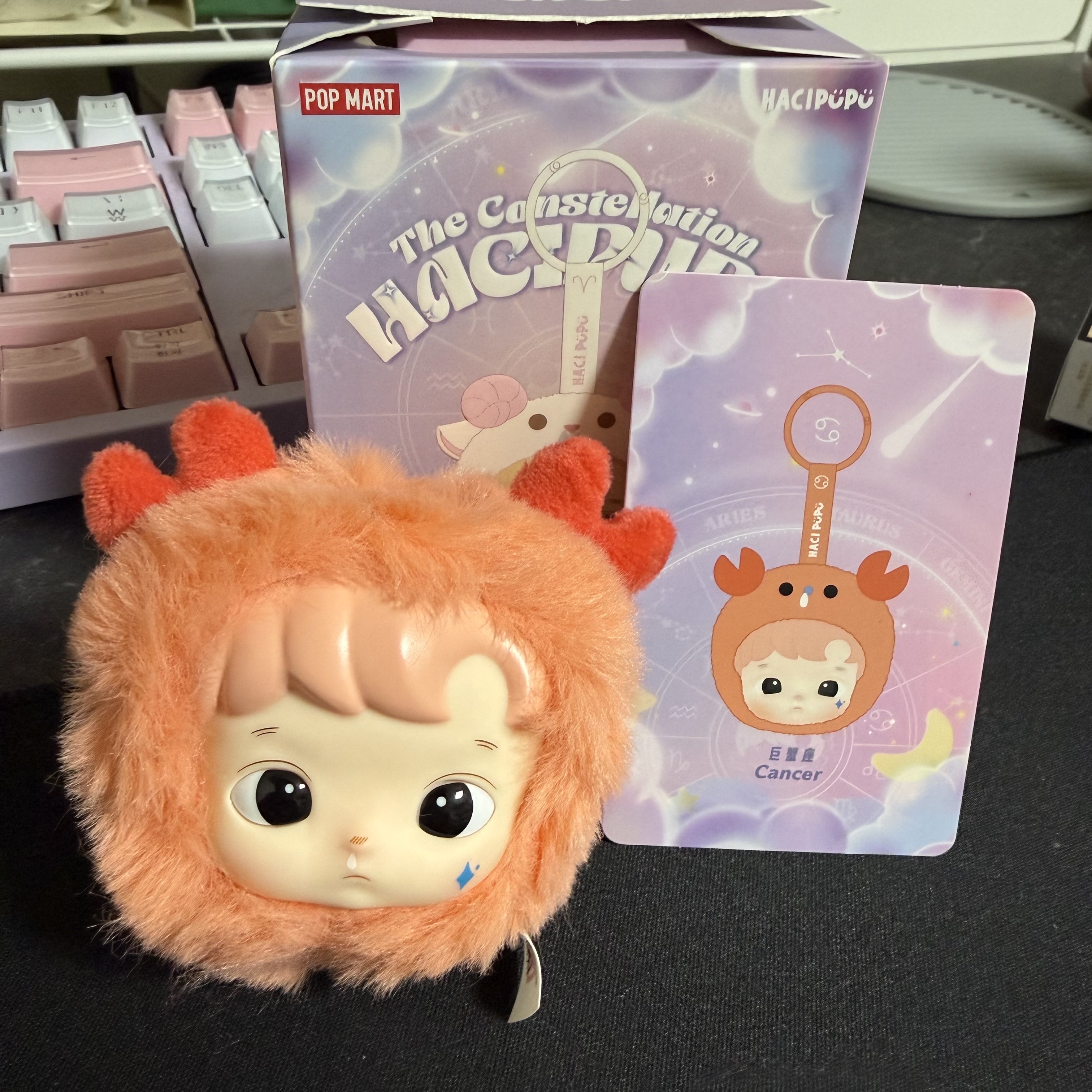 Pop Mart Hacipupu The Constellation Series Vinyl Plush Cancer (Opened Case), Pop Mart Hacipupu The Constellation Series Vinyl Plush Gemini (Opened Case) 착용 스타일 - 1
