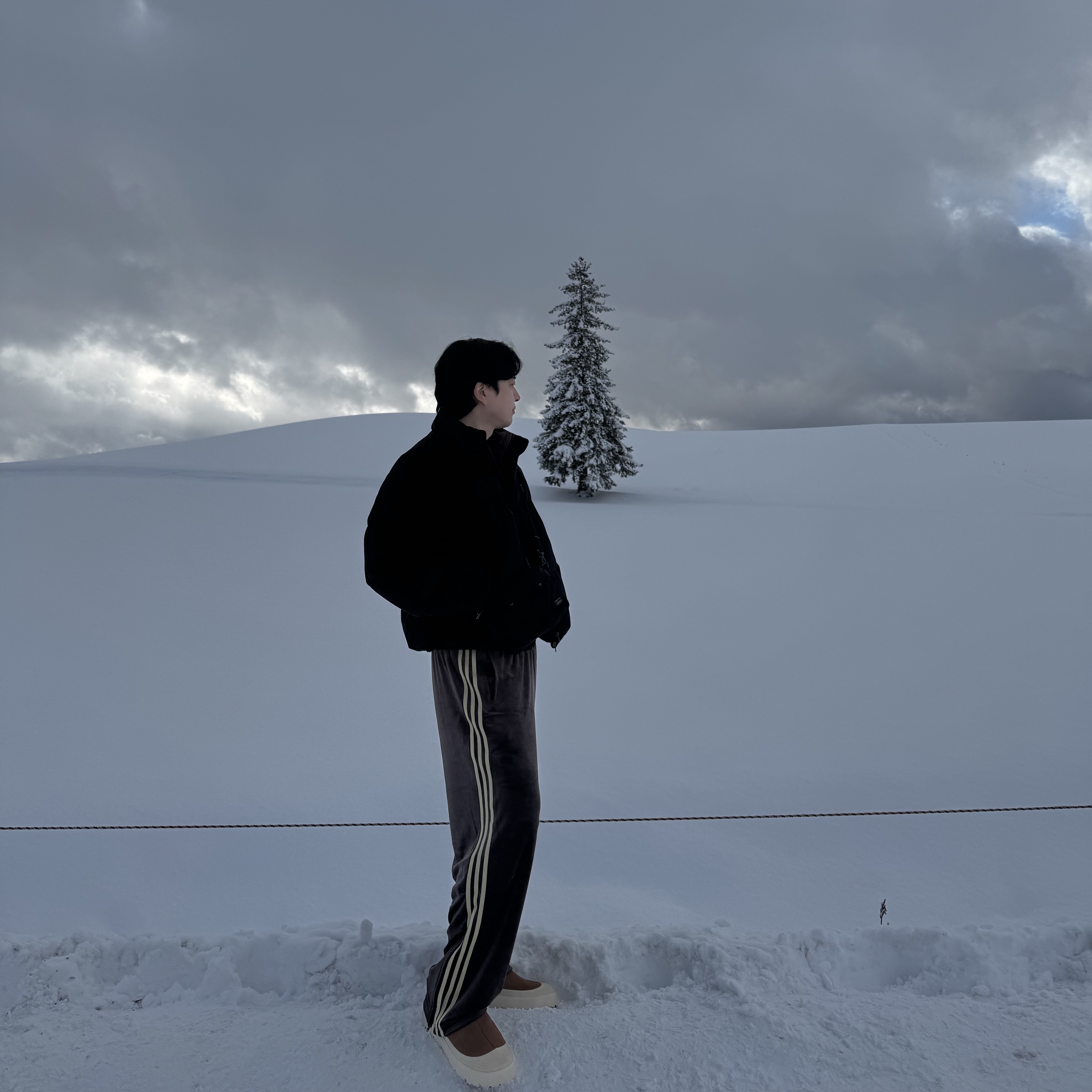 UGG Tasman Weather Hybrid Chestnut Whitecap 착용 스타일