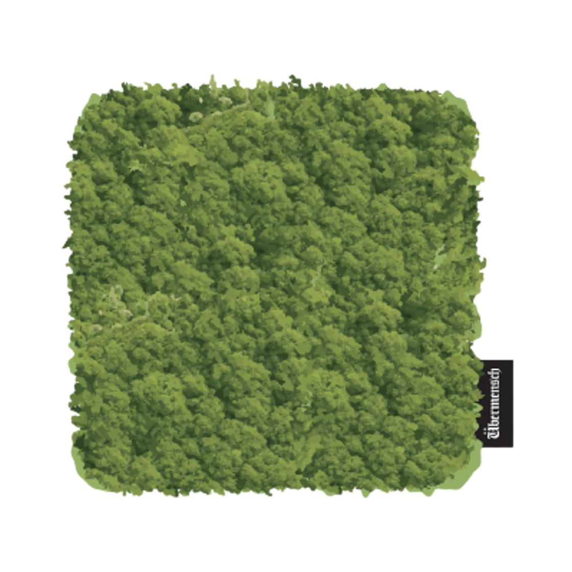 - G-DRAGON Ubermensch Coaster Green