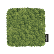 G-DRAGON Ubermensch Coaster Green