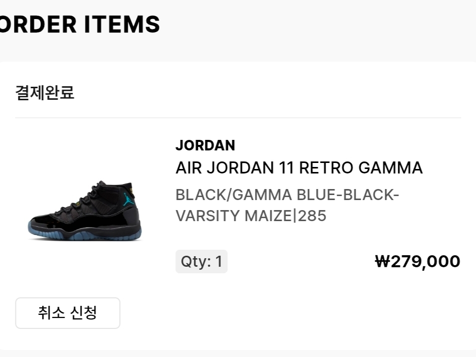 Jordan 11 Retro Gamma 착용 스타일
