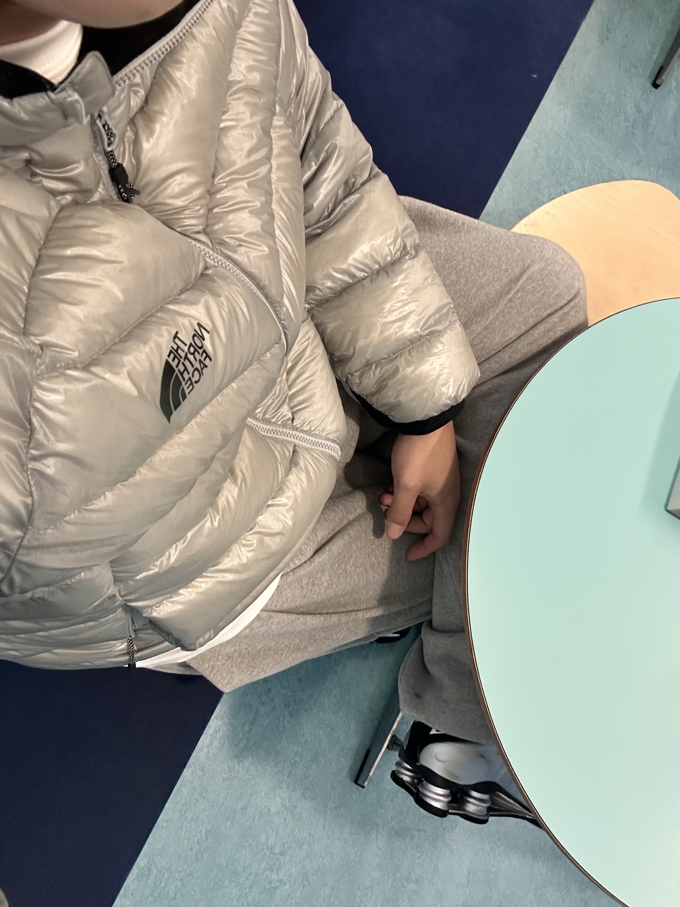The North Face Summit Mattehorn RDS Down Jacket Light Gray, Nike Shox R4 Metallic Silver Black 착용 스타일
