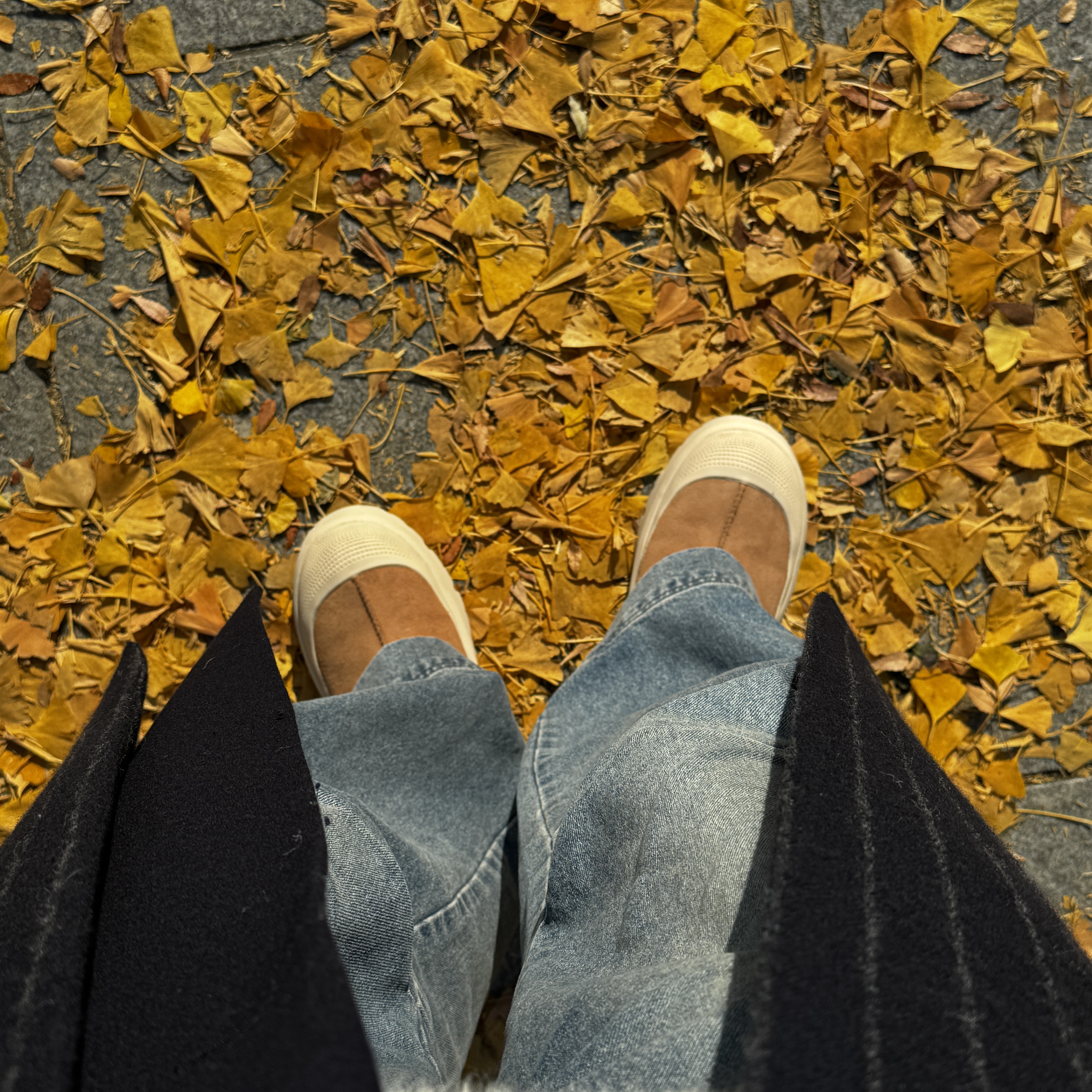 UGG Tasman Weather Hybrid Chestnut Whitecap 착용 스타일 - 2