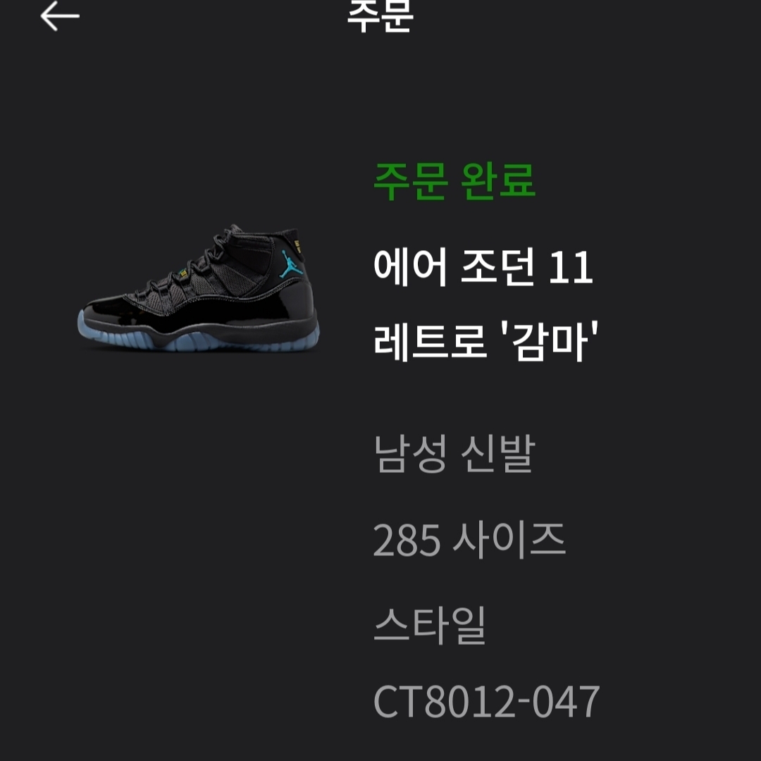 Jordan 11 Retro Gamma 착용 스타일