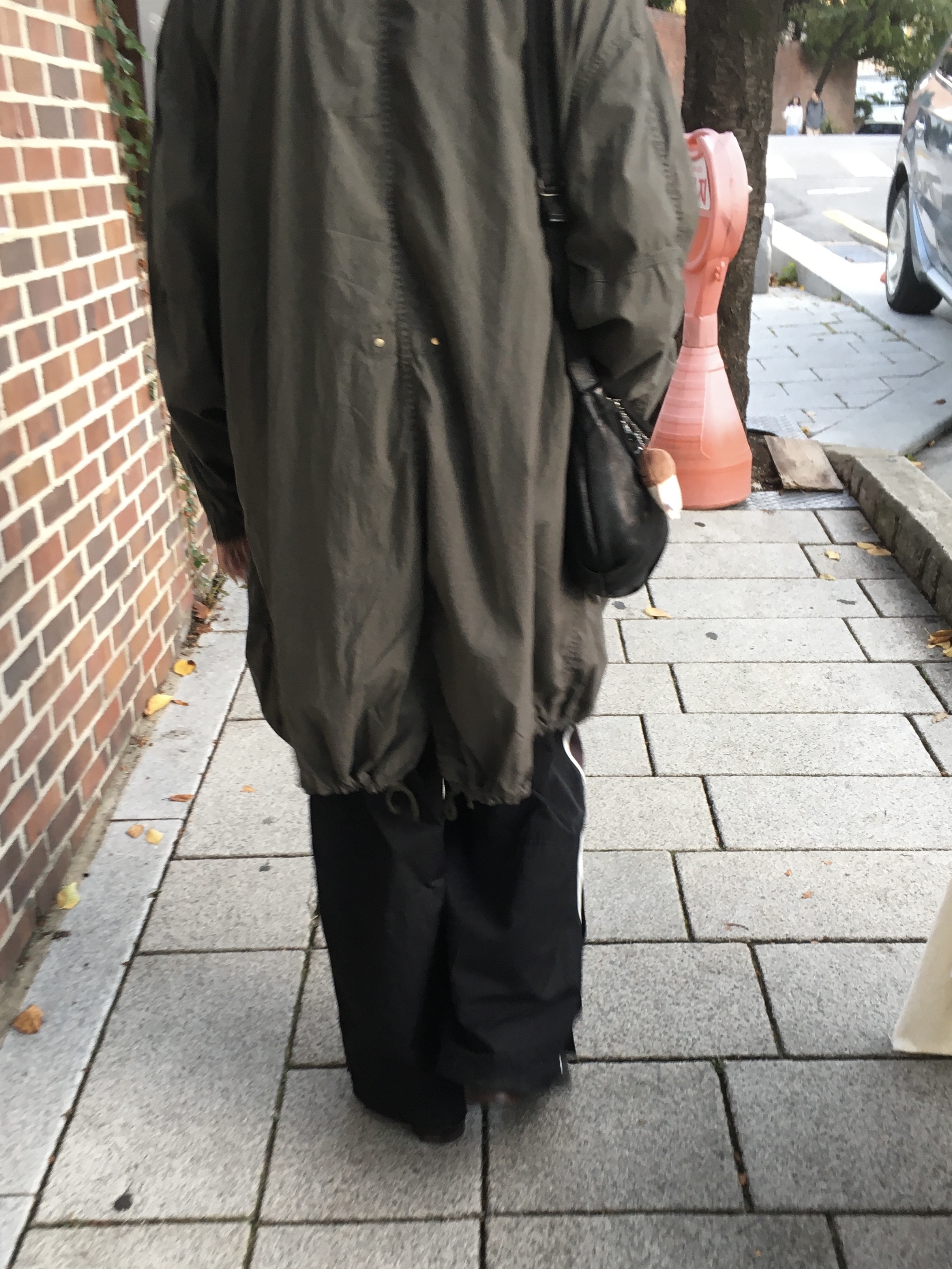 Polyteru Dell Parka Sage Gray, Polyteru 1011 Nylon Track Pants Sport Black 착용 스타일 - 3