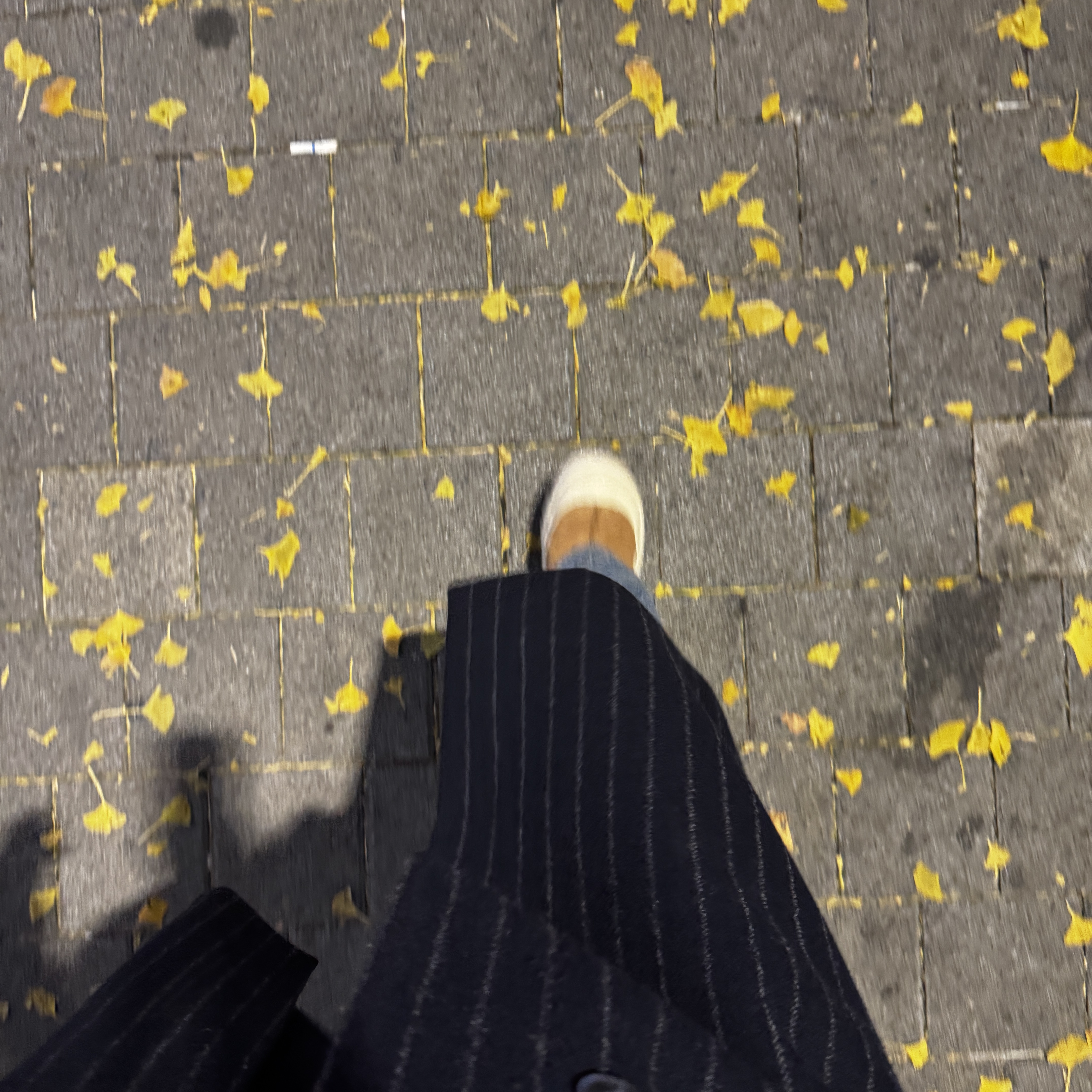 UGG Tasman Weather Hybrid Chestnut Whitecap 착용 스타일 - 3