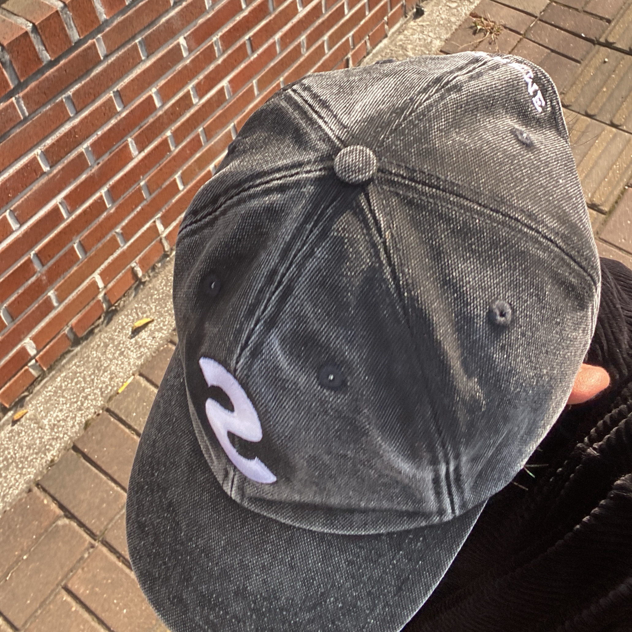Supreme Pigment Canvas S Logo 6-Panel Black - 23SS, Kodak Fun Saver 39 Disposable Flash Film Camera 착용 스타일