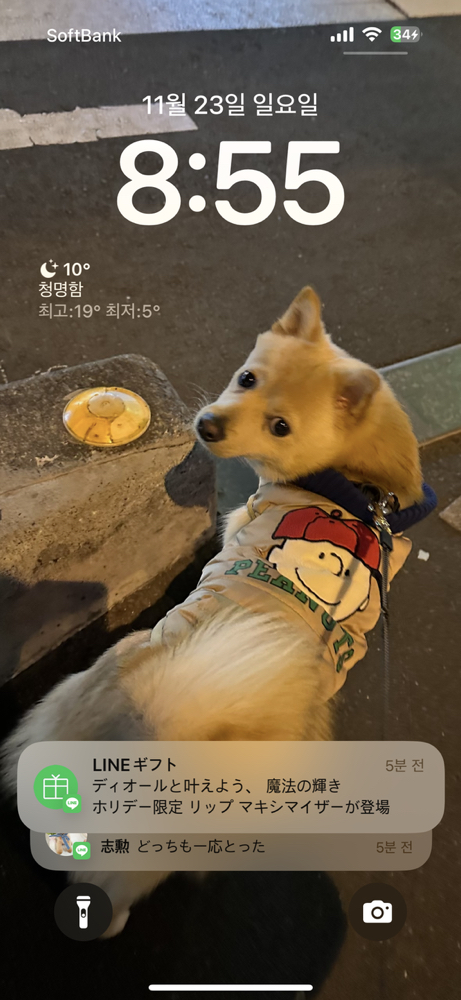 KREAM 프로필 이미지