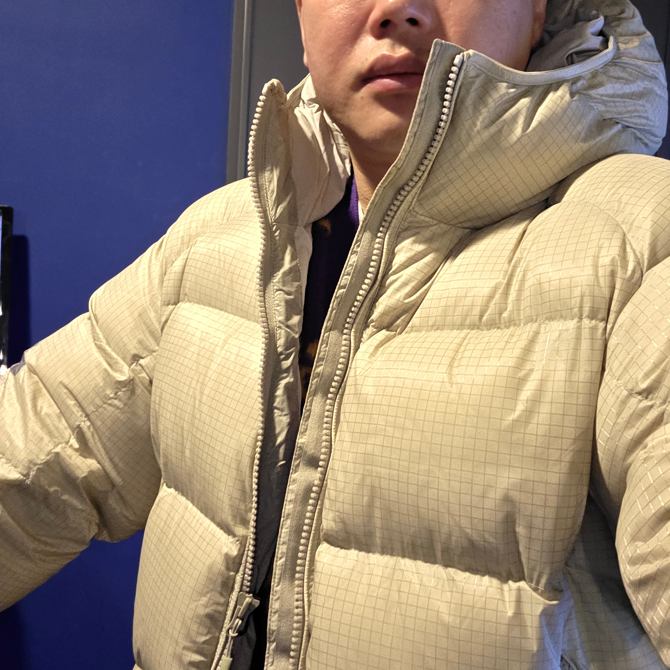 Palace Pertex Quantum RS Puffa Grey - 25FW 착용 스타일 - 2