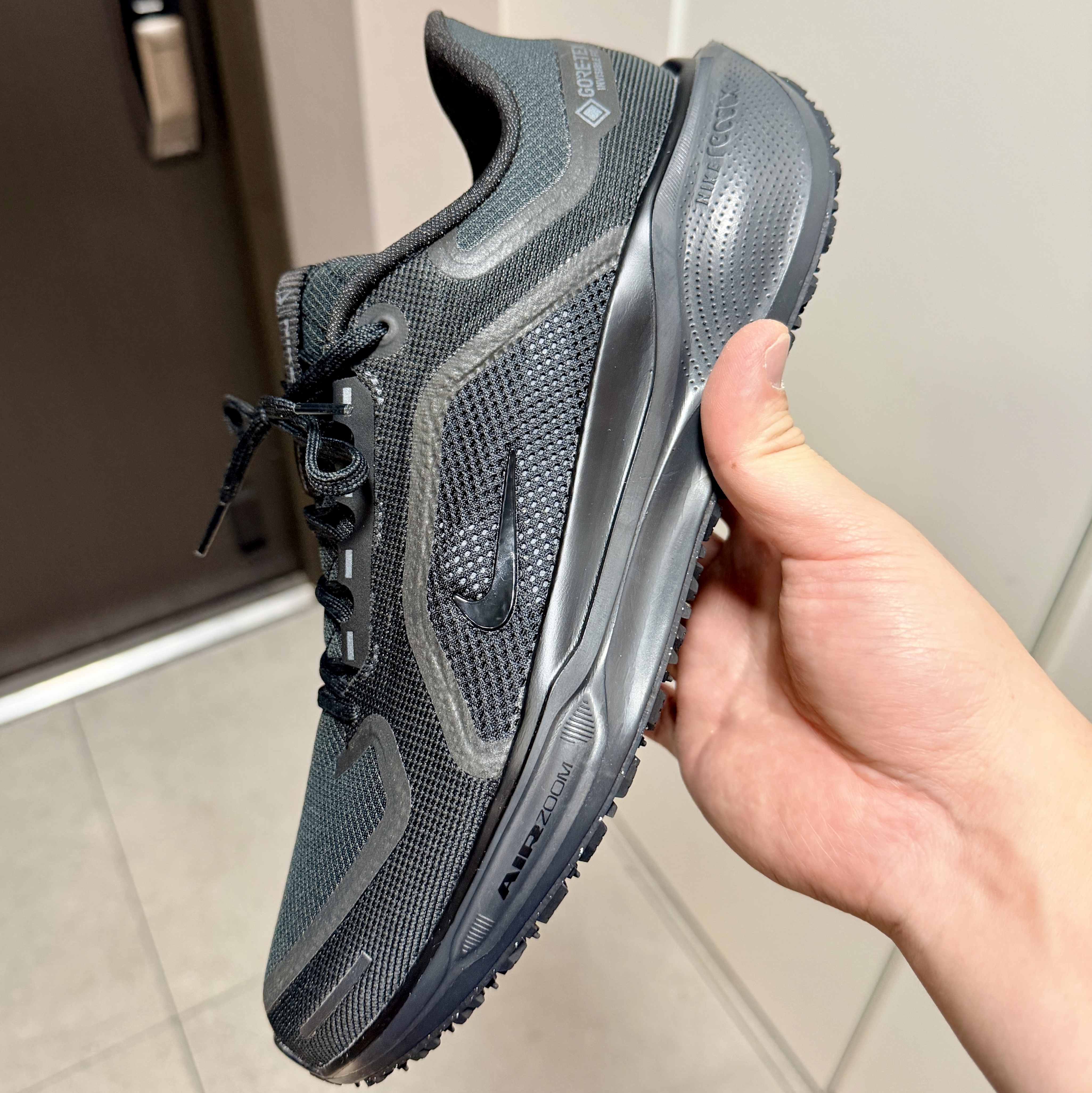 Nike Air Zoom Pegasus 41 Gore-Tex Black Anthracite 착용 스타일 - 1