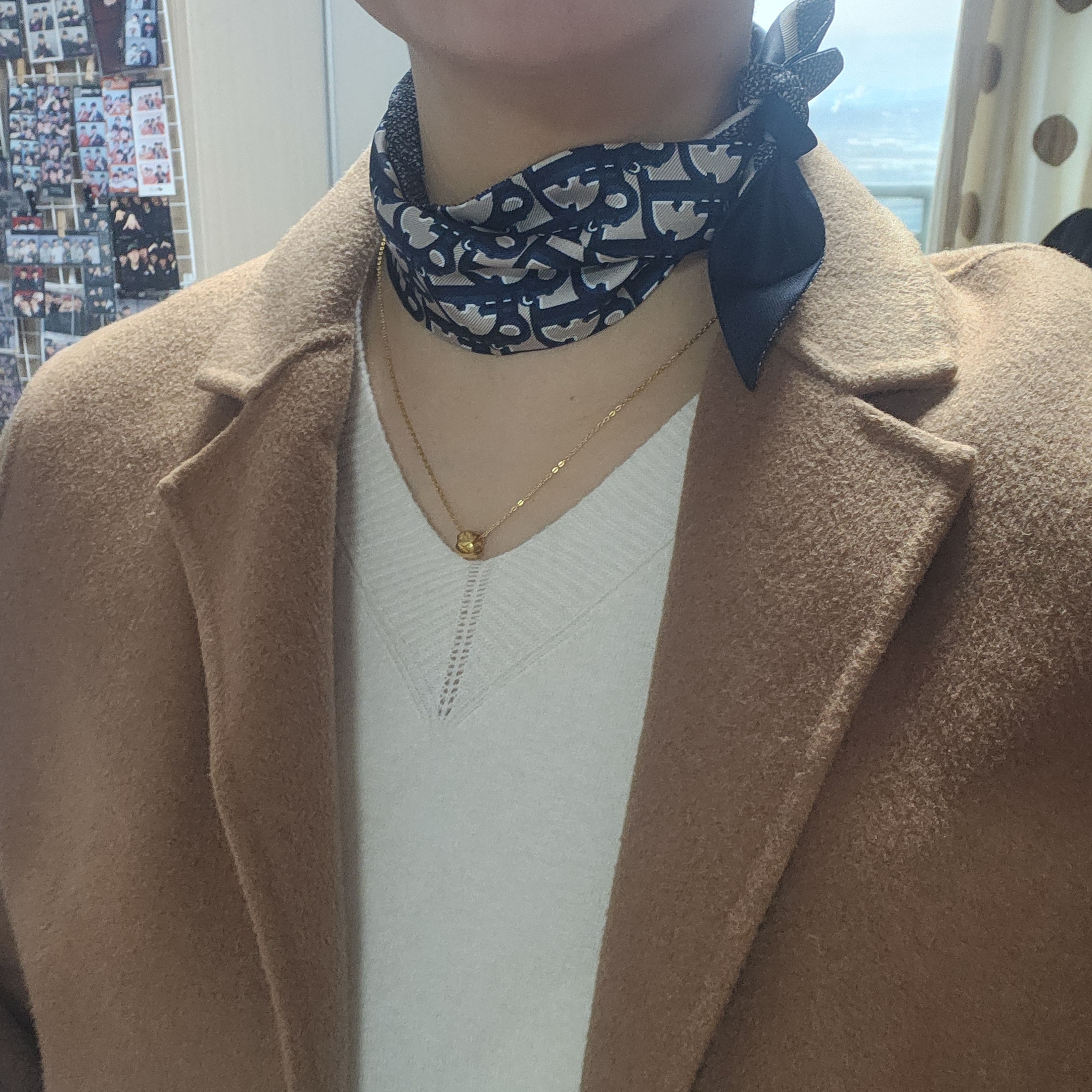(W) Dior Oblique Mitzah Scarf Silk Twill Navy Blue, New Balance 2002R Premium Vintage Grey 착용 스타일