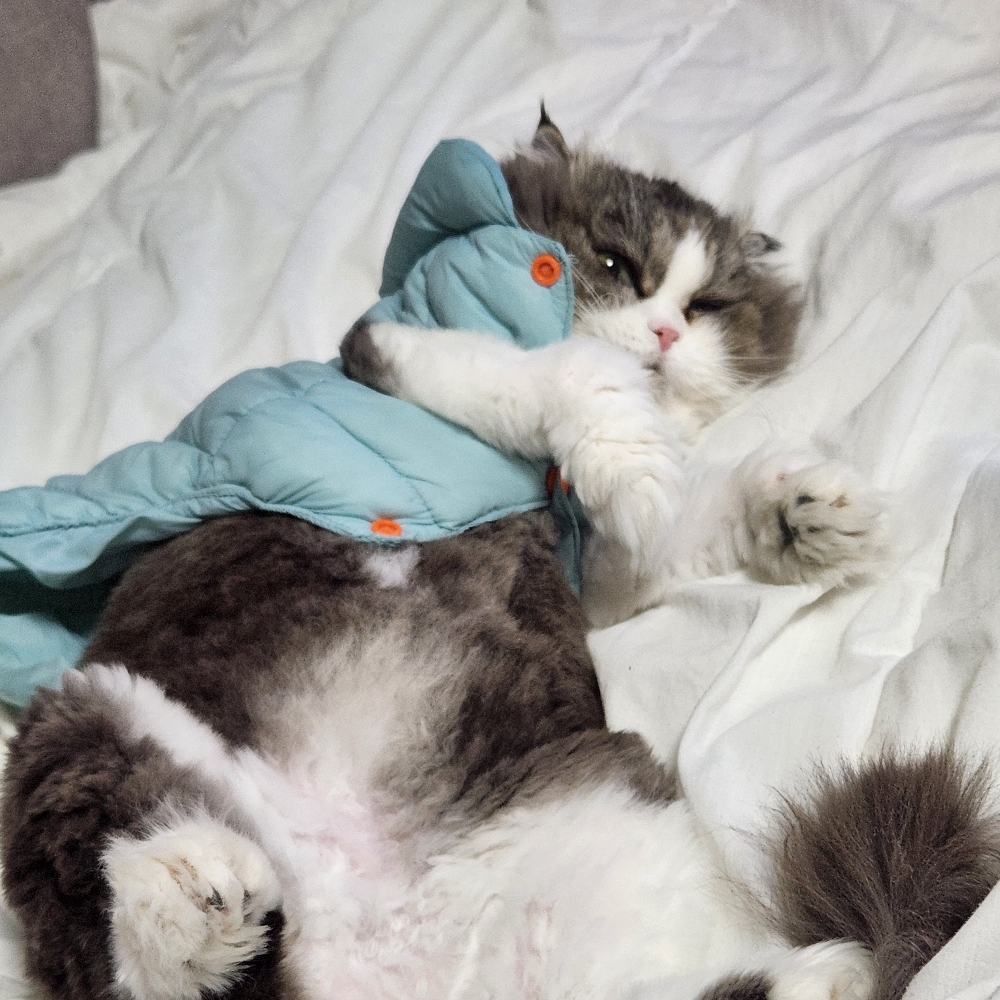 관심 유저 프로필 이미지