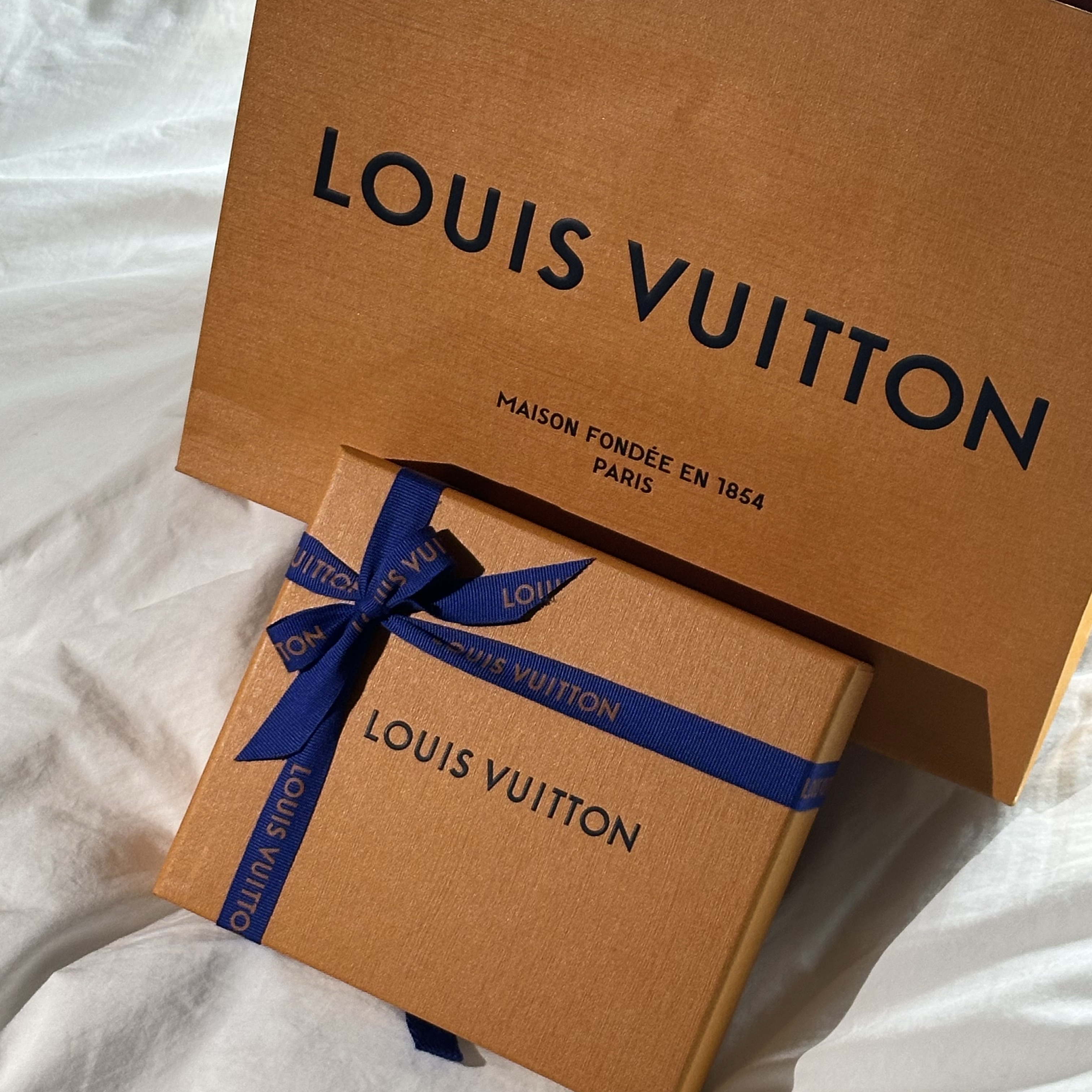 Louis Vuitton LV Charm Card Holder Monogram Empreinte Black 착용 스타일 - 3