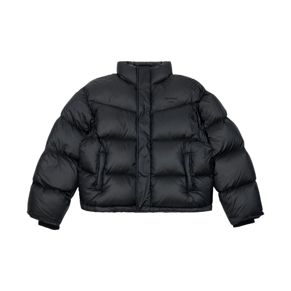 아더에러 시그니피컨트 BL 태그 퍼퍼 자켓 02 느와르(Ader Error Sig; BL Tag Puffer Jacket 02 Noir)