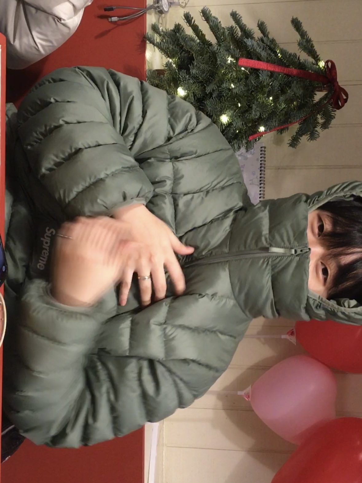 Supreme Micro Down Half Zip Hooded Pullover Olive - 23FW 착용 스타일 - 3