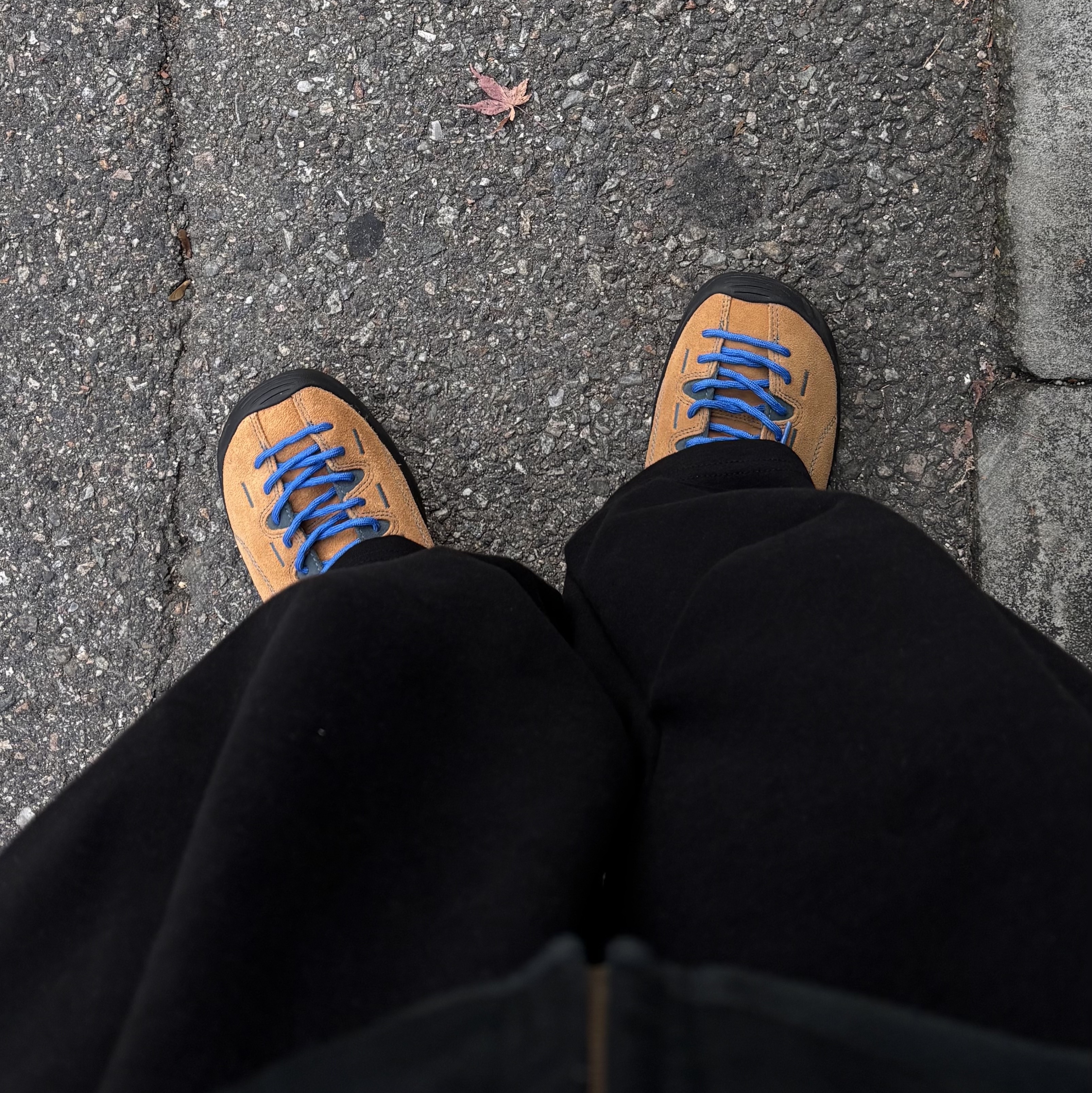 Keen Jasper Suede Sneakers Camel 착용 스타일
