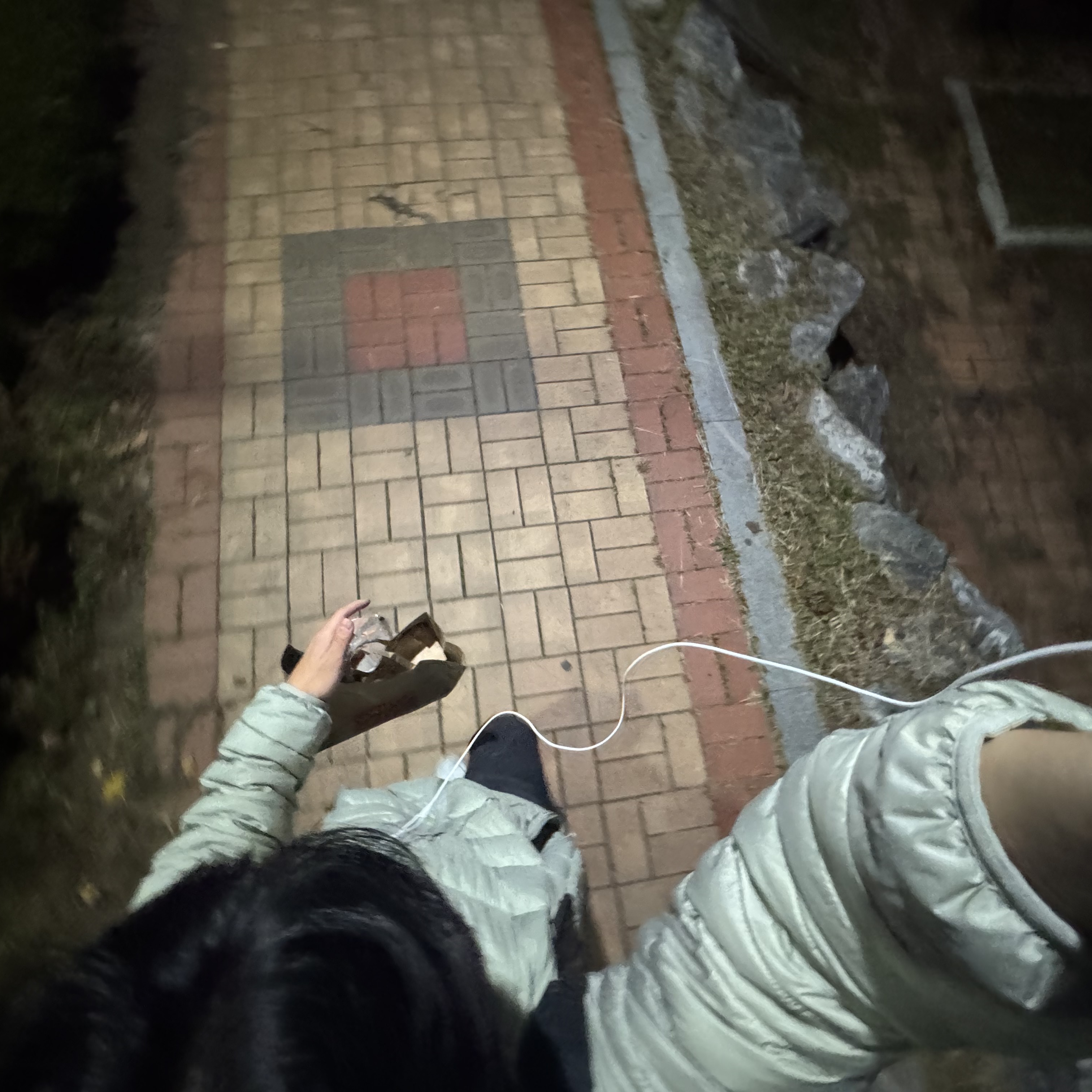 Musinsa Standard City Leisure Hooded Light Down Jacket Pistachio 착용 스타일