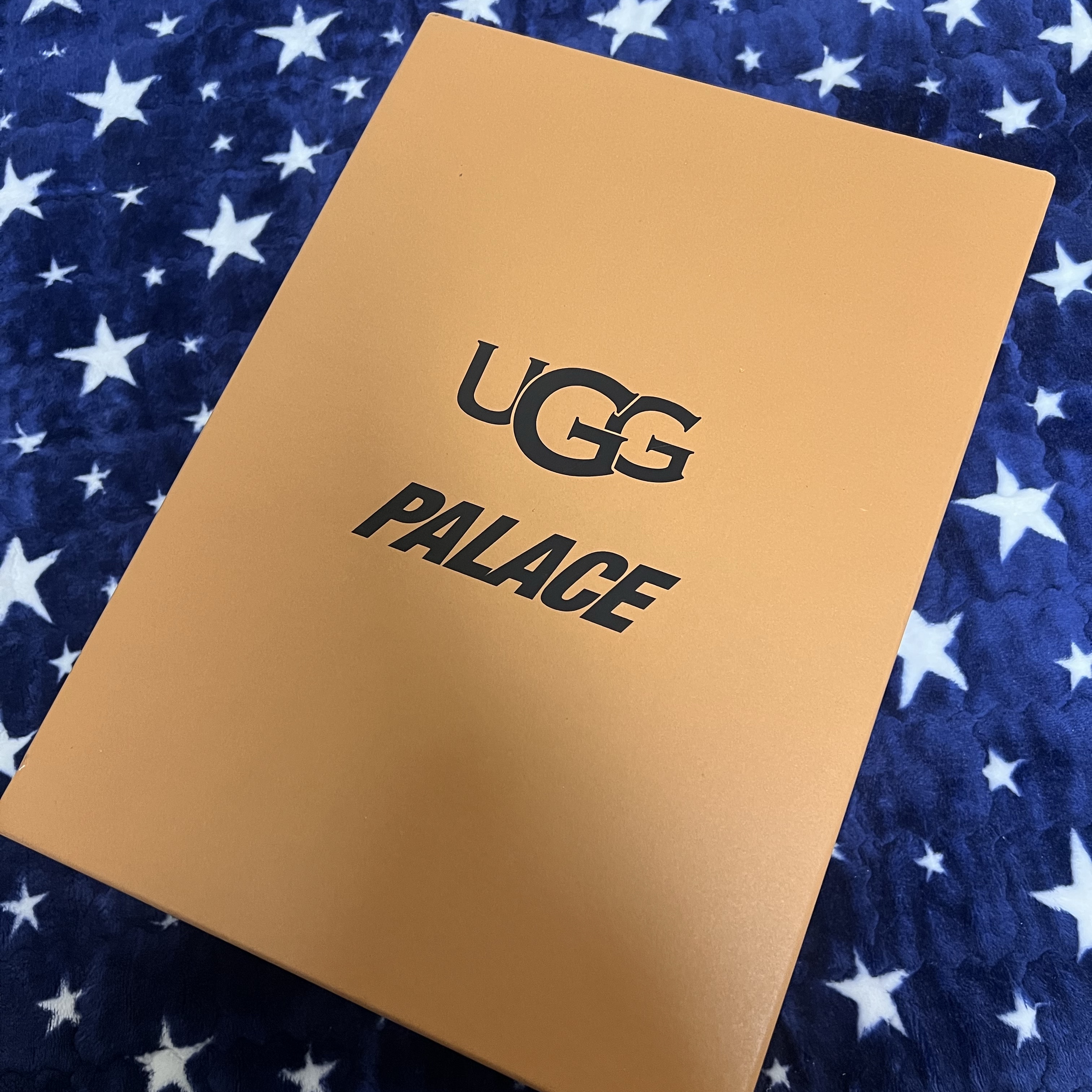 UGG x Palace x Looney Tunes Ultra Mini Boot Chestnut 착용 스타일 - 3