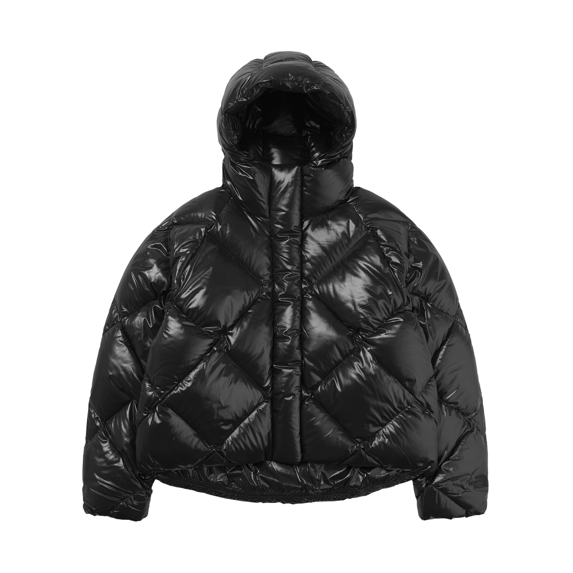(W) 노스페이스 다이아몬드 다운 자켓 RDS 블랙 - 25FW((W) The North Face Diamond Down Jacket RDS Black - 25FW) - 1