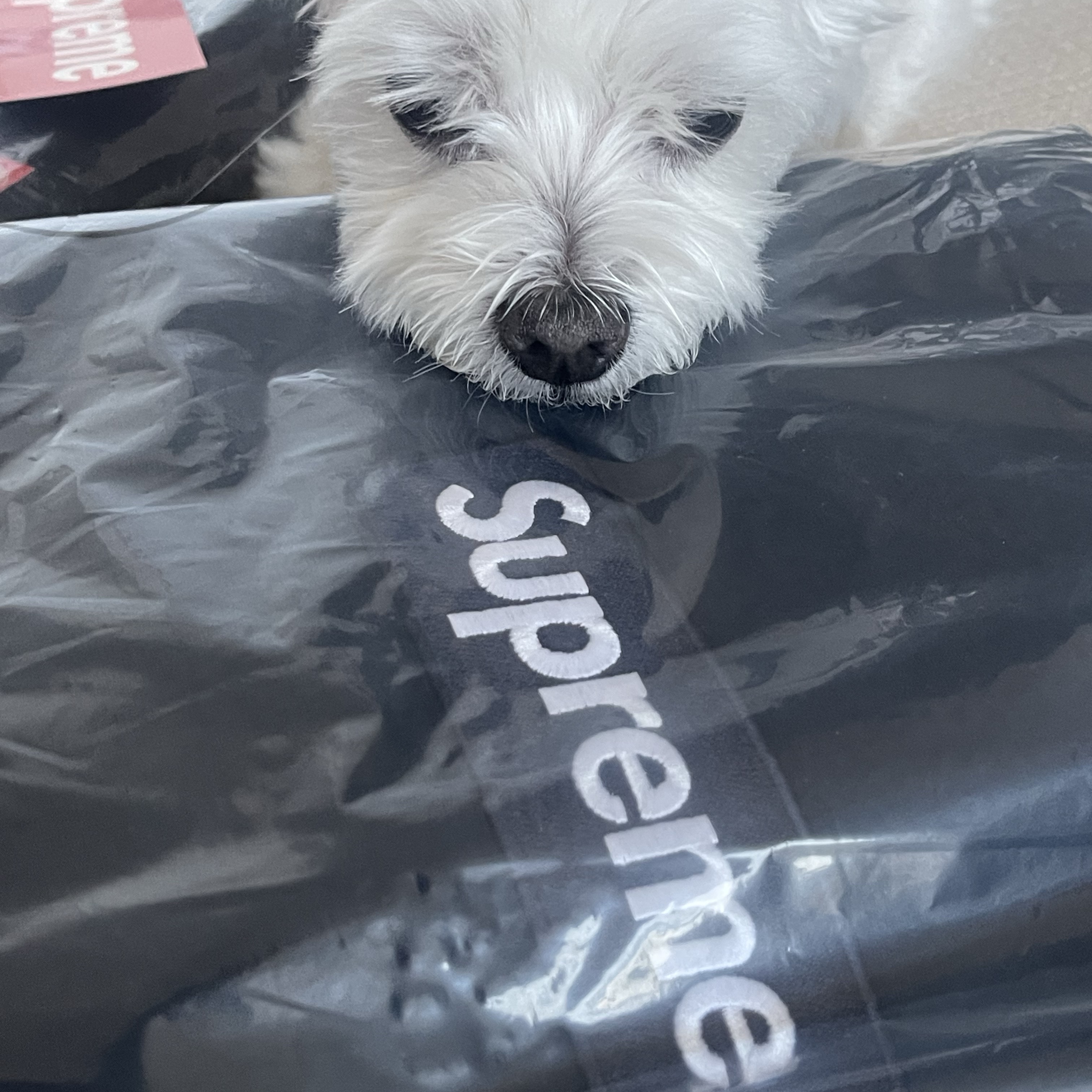 Supreme Box Logo Hooded Sweatshirt Navy - 25FW 착용 스타일