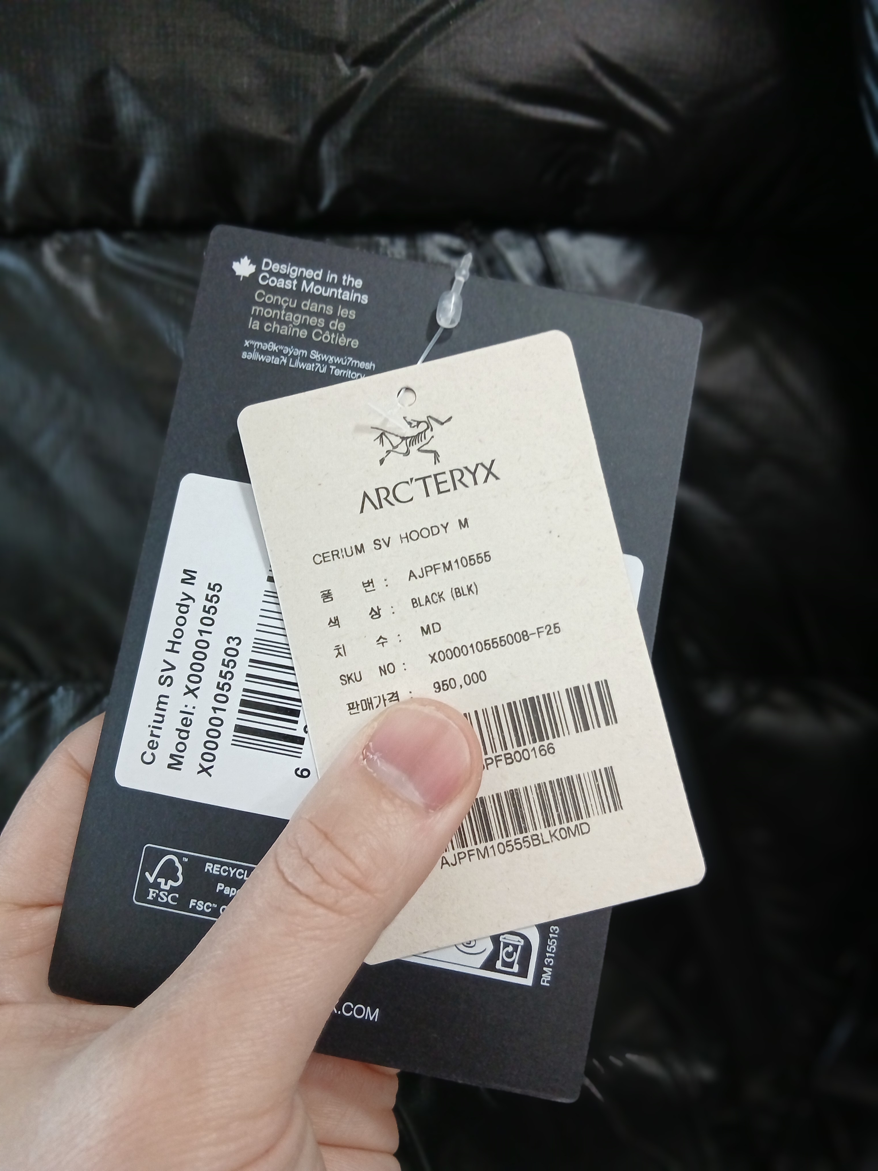 Arc'teryx Cerium SV Hoody Black 착용 스타일 - 3