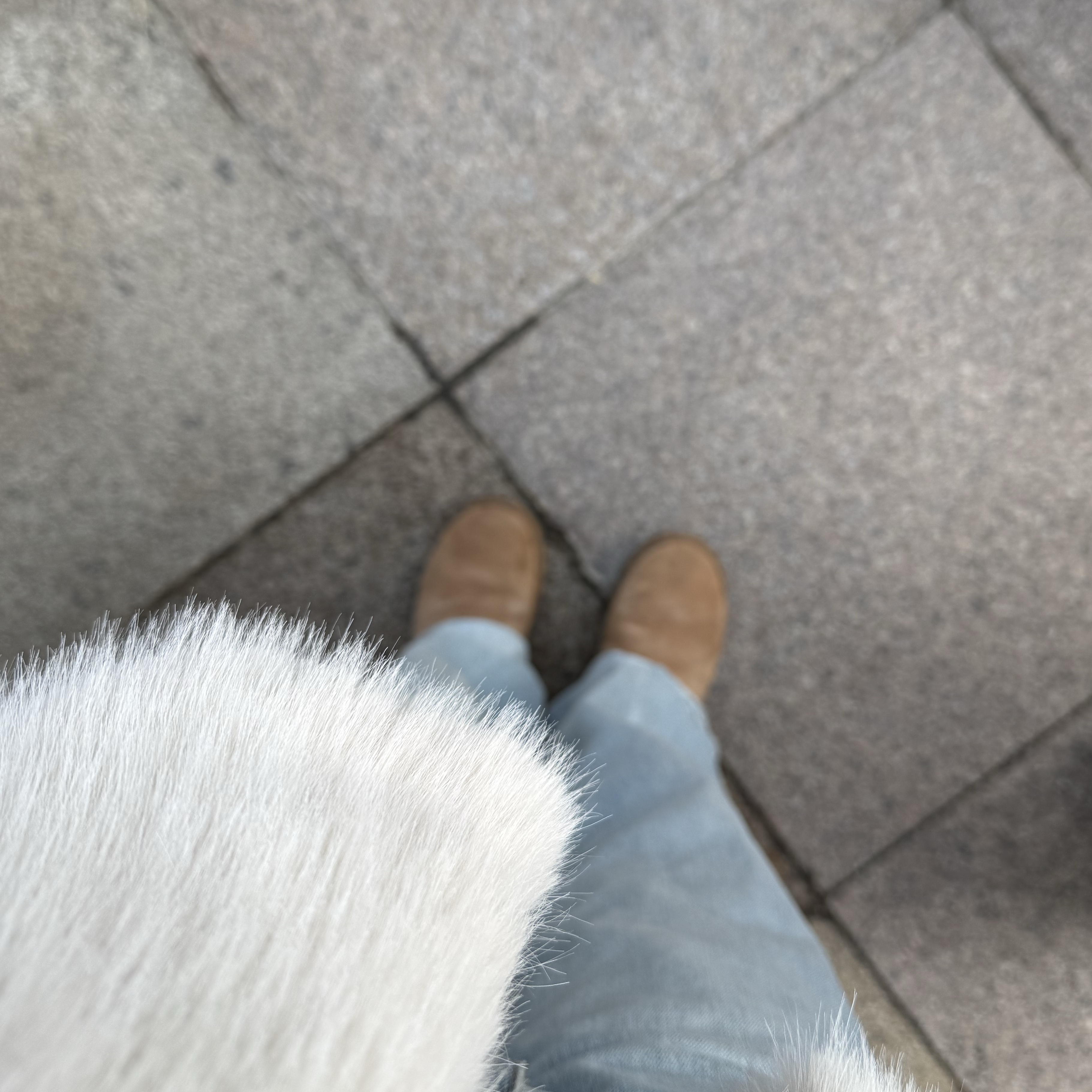 (W) UGG Classic Mini II Boots Chestnut 착용 스타일