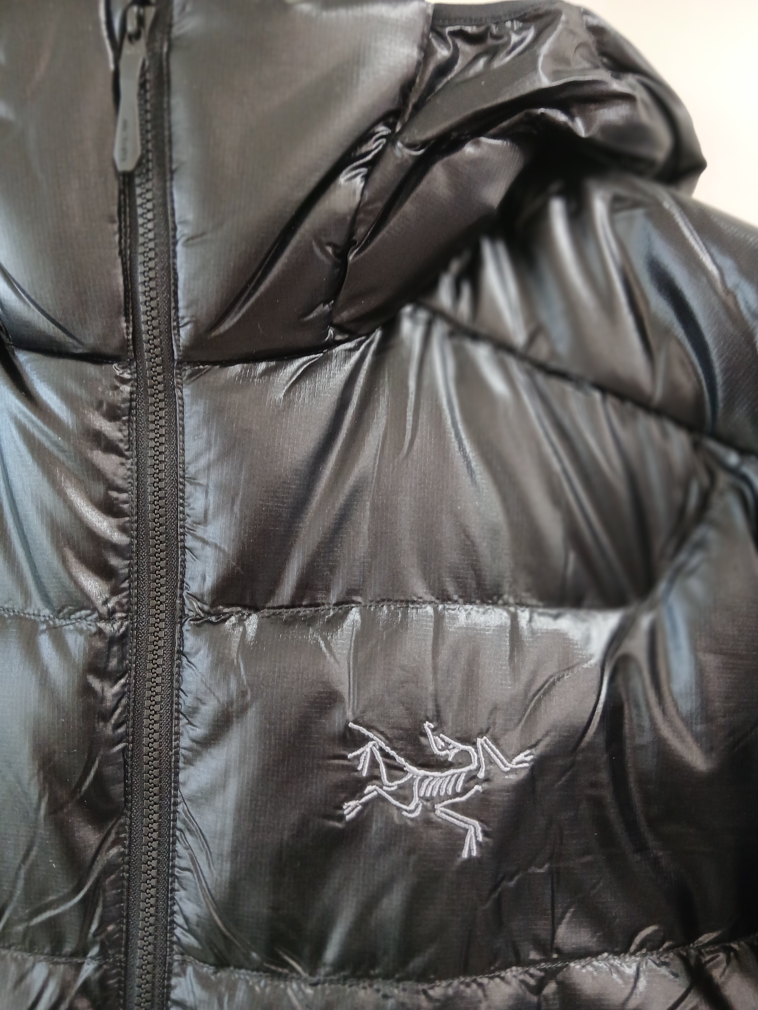 Arc'teryx Cerium SV Hoody Black 착용 스타일 - 2