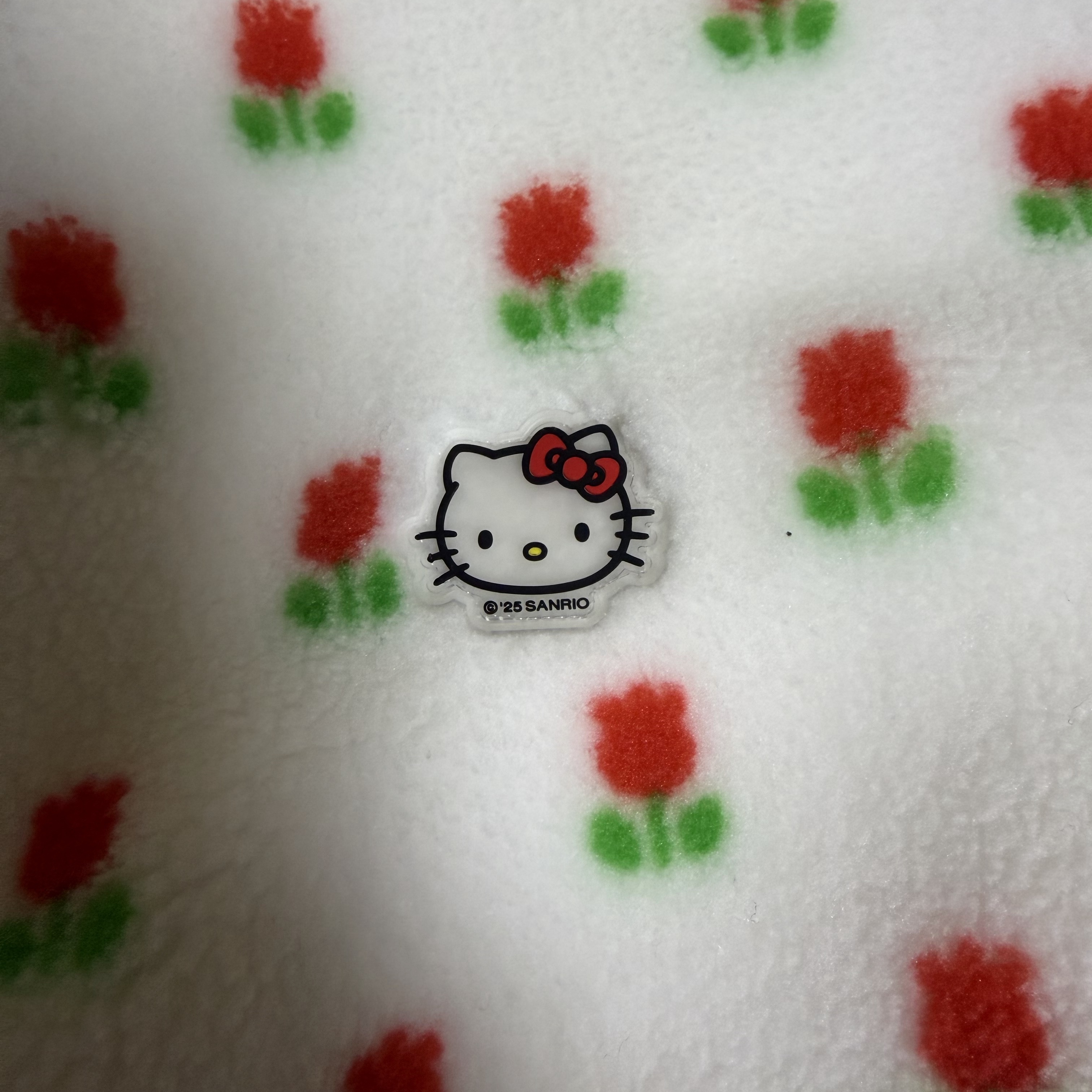Spao x Sanrio Characters Dumble Fleece White 착용 스타일 - 2