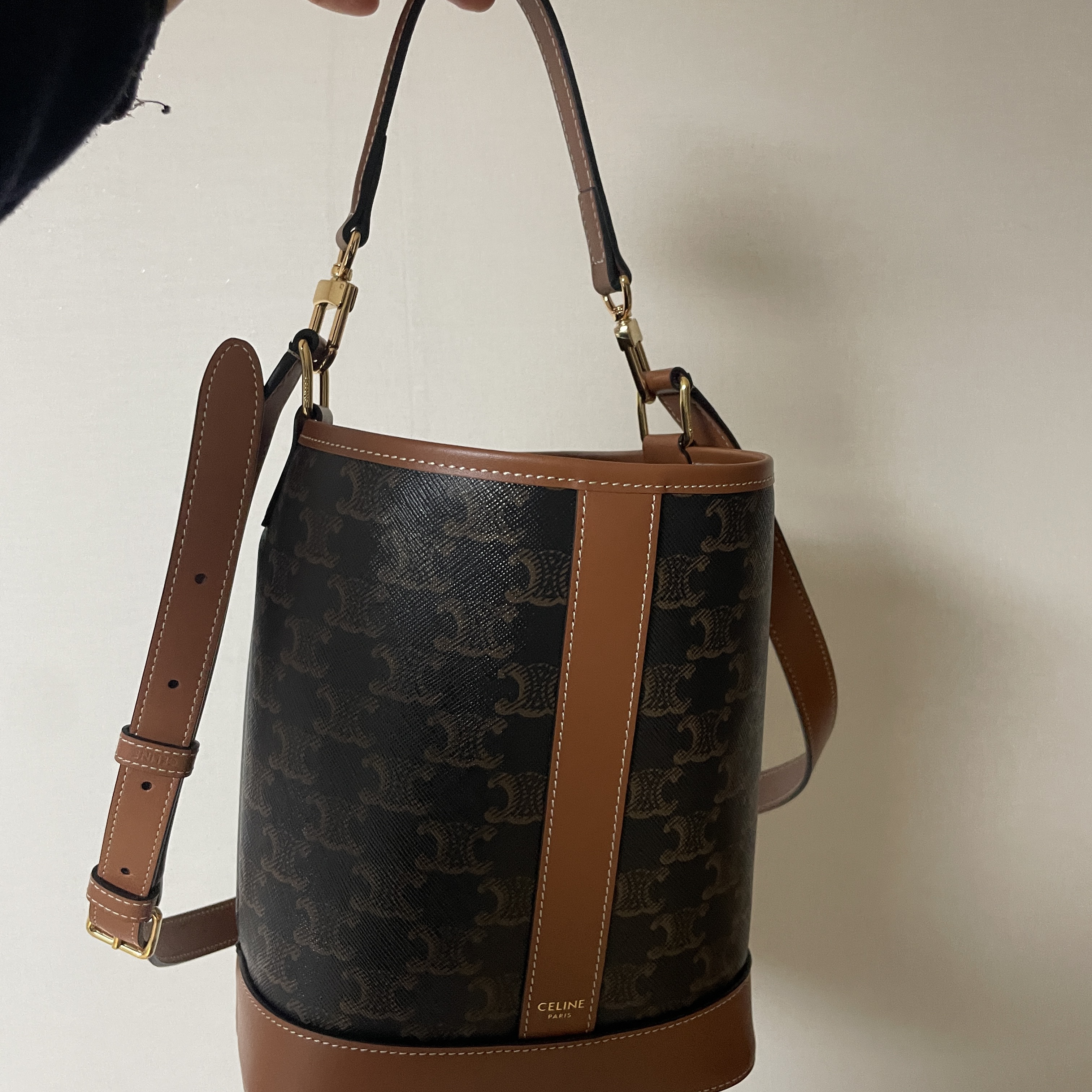 Celine Small Bucket in Triomphe Canvas and Calfskin Tan 착용 스타일
