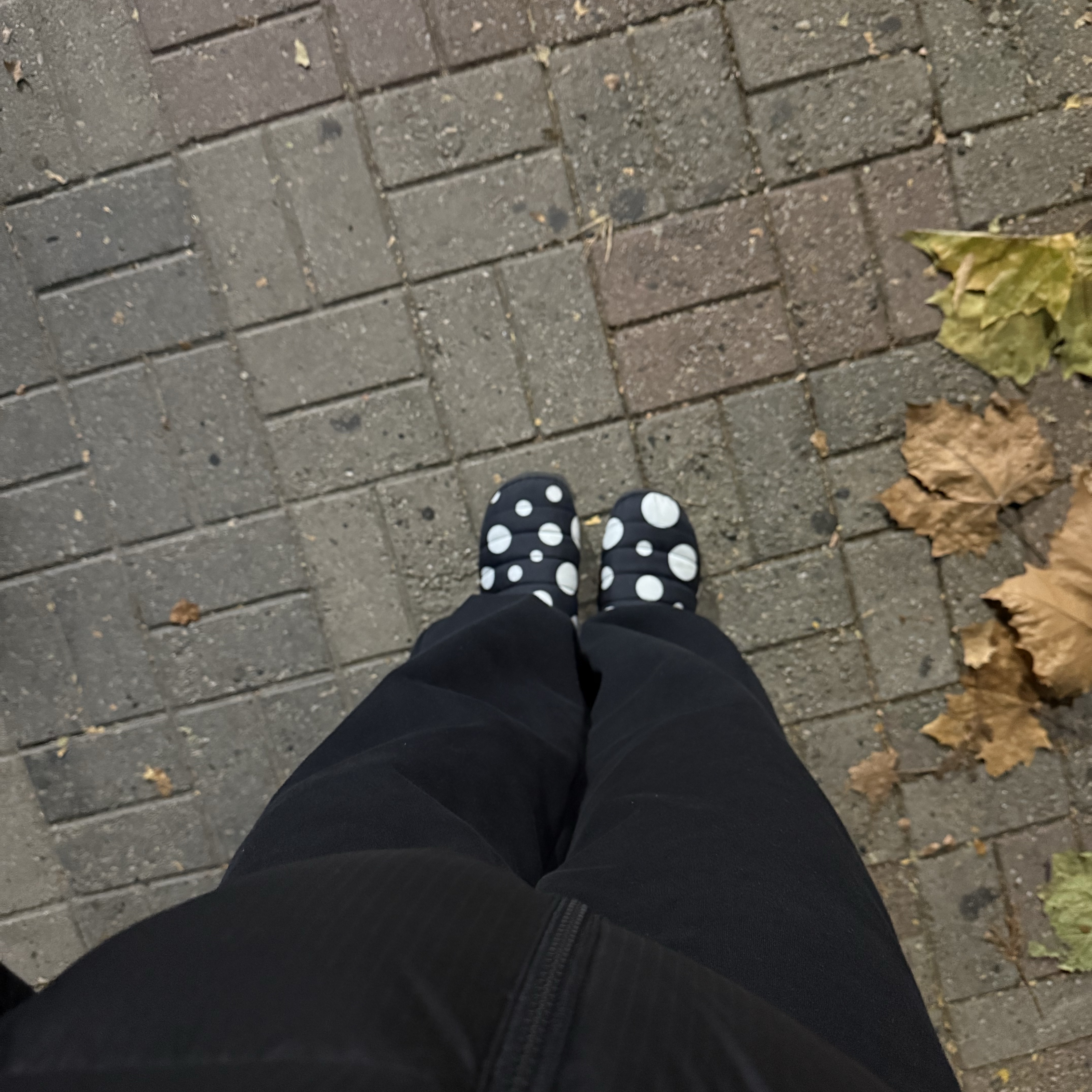 Subu Down Sandal Cream Snow Dot 착용 스타일