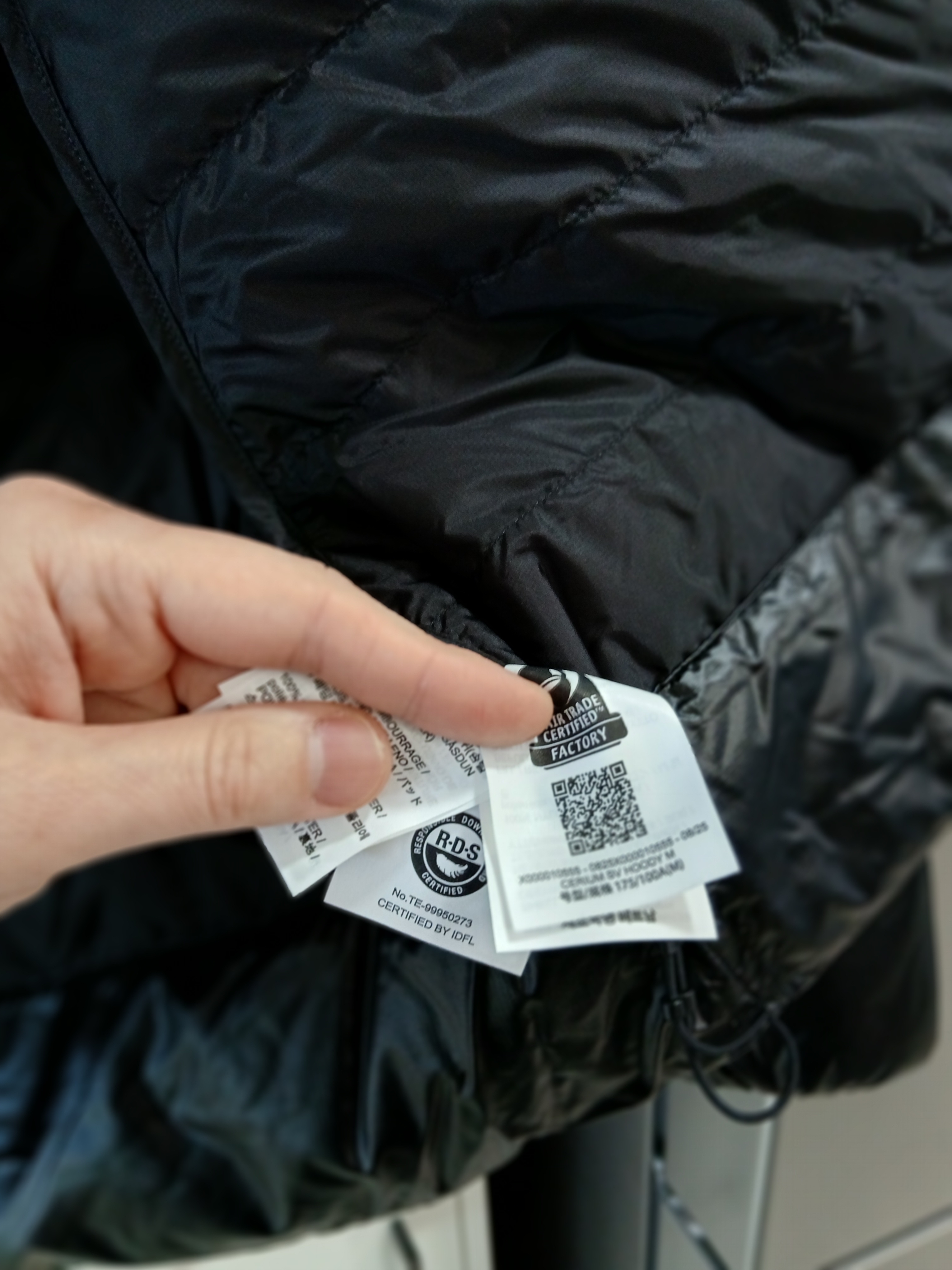Arc'teryx Cerium SV Hoody Black 착용 스타일 - 10