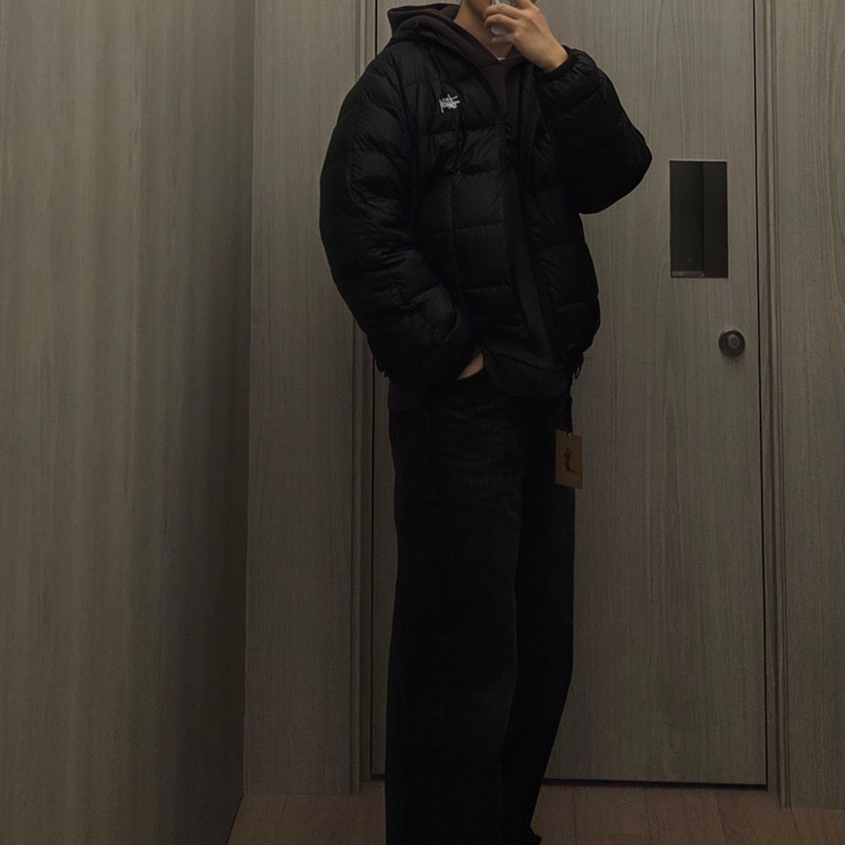 Stussy Midweight Hooded Puffer Black 착용 스타일