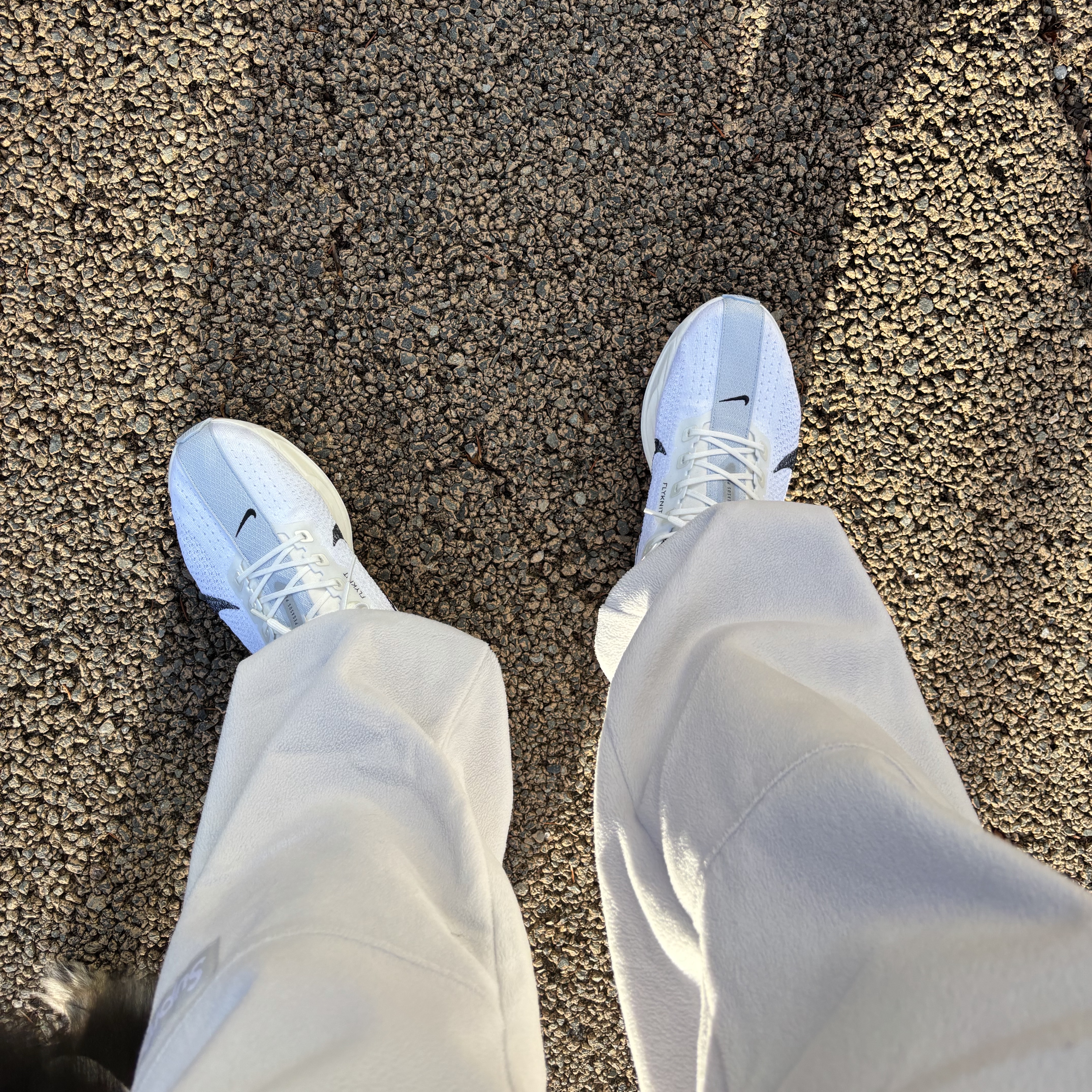Nike Pegasus Plus White Blue Tint 착용 스타일