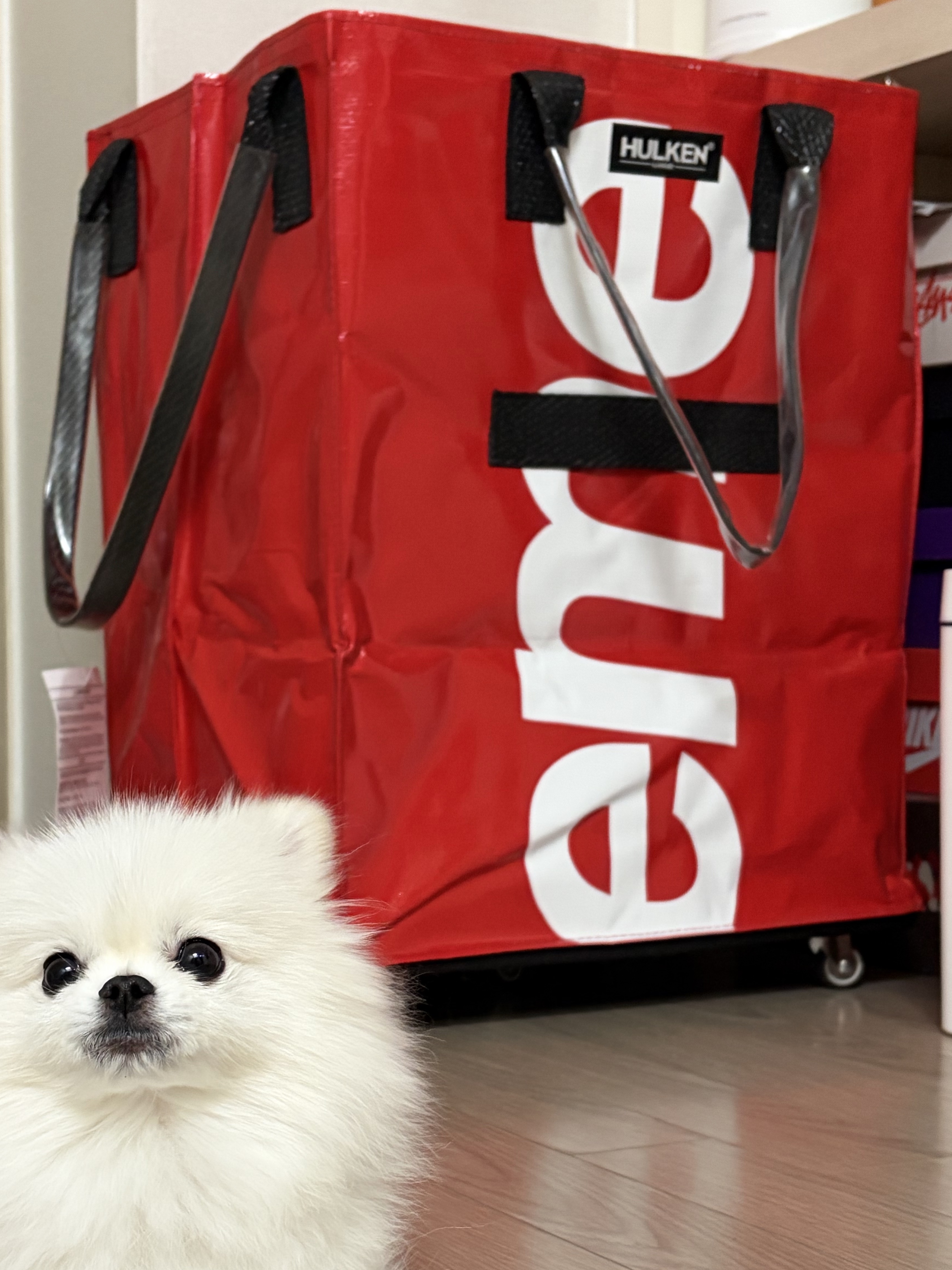 Supreme x Hulken Rolling Tote Bag Red - 24FW 착용 스타일 - 1