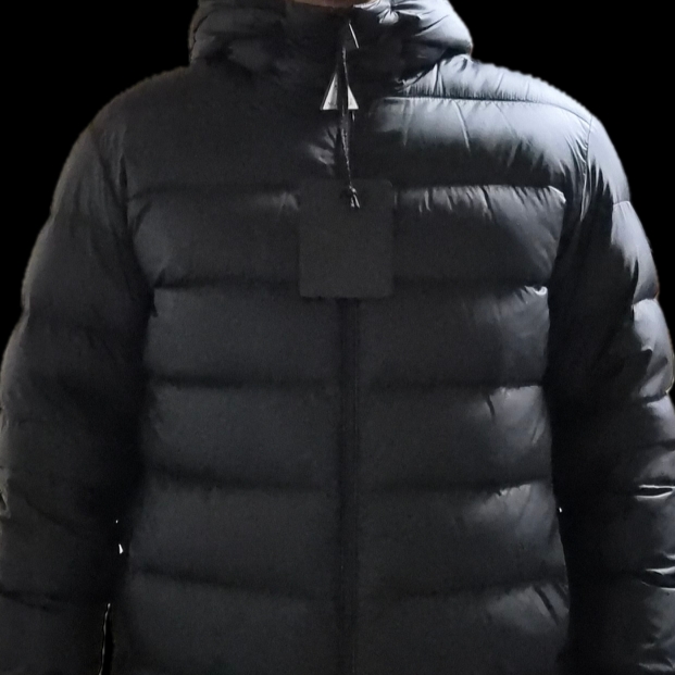 Moncler Erdon Down Jacket Black - 25FW 착용 스타일