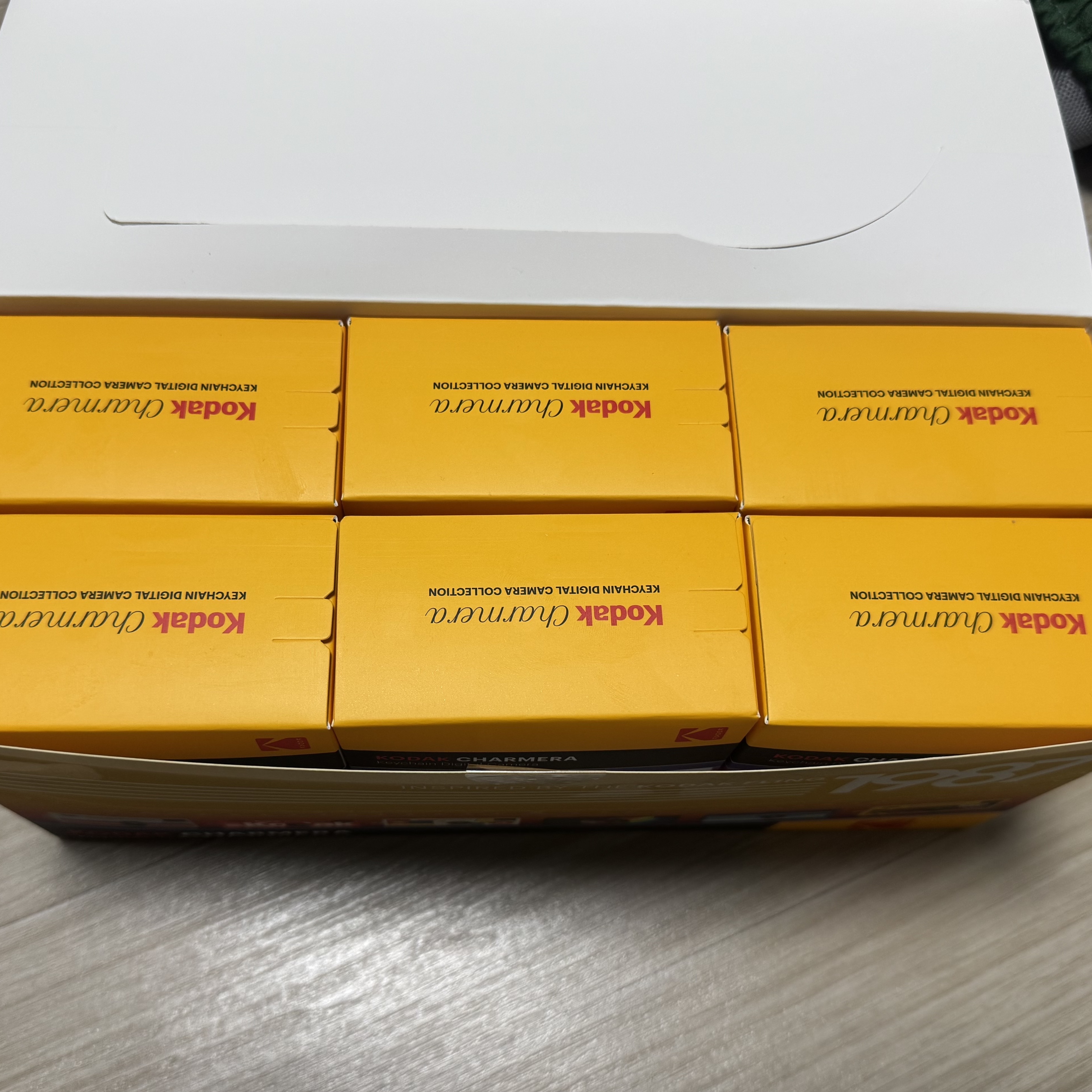Kodak Charmera Key Chain Film Camera Sealed Case Whole Set (6 Blind Box/Korean Ver.) 착용 스타일