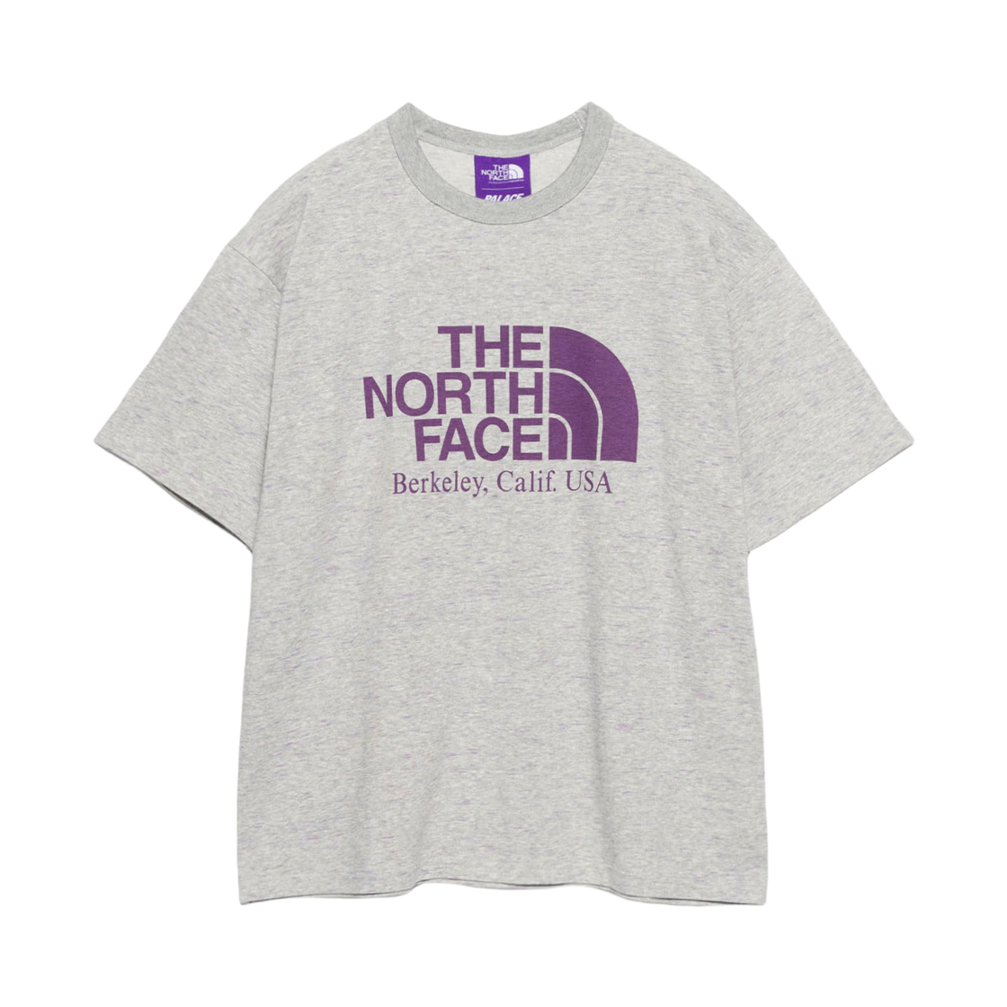 팔라스 x 노스페이스 퍼플라벨 필드 그래픽 티셔츠 믹스 그레이 - 25FW