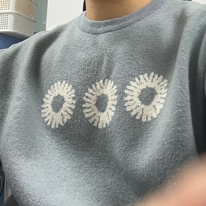 999Humanity EVD Sweat MTM Oatmeal 착용 스타일